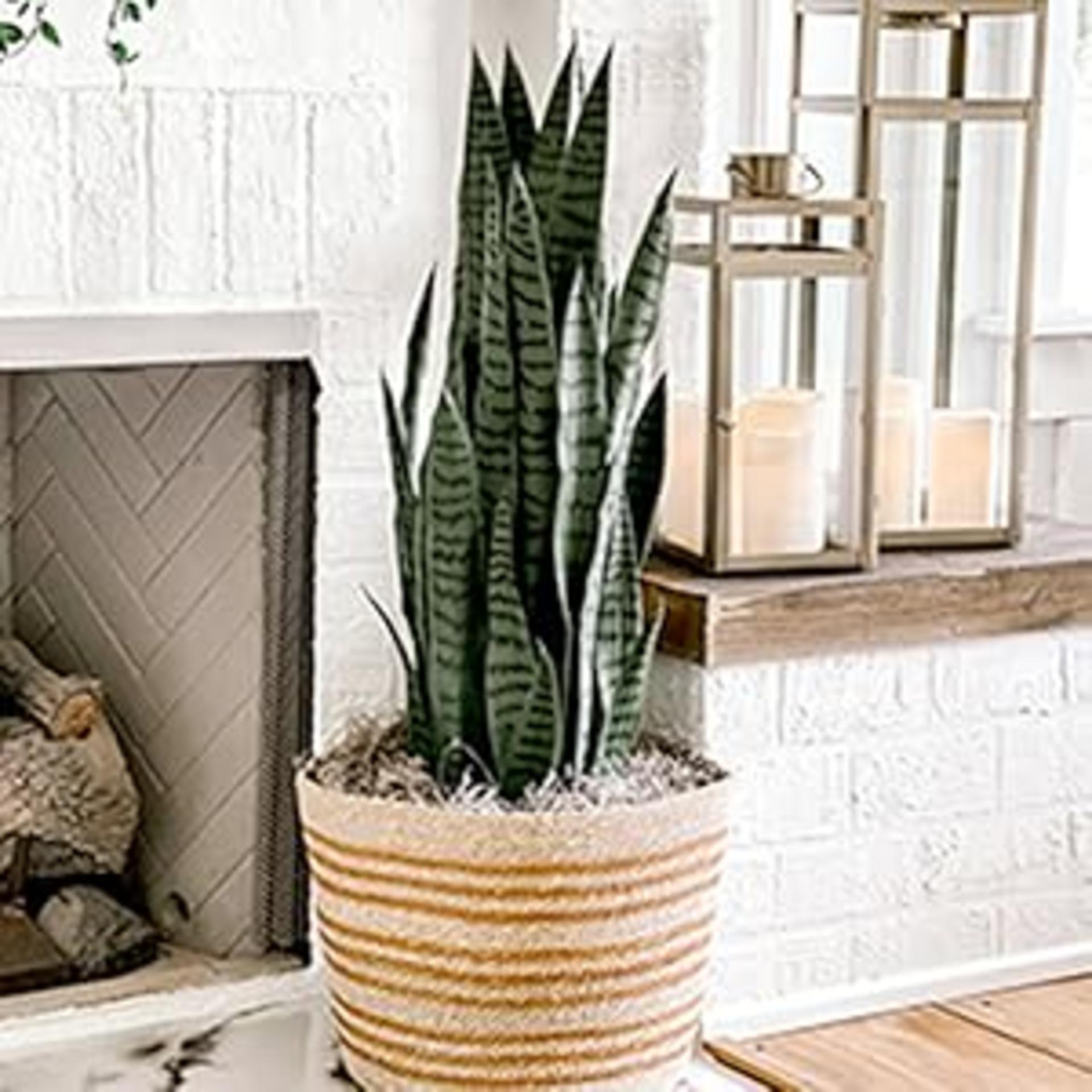 24" Artificial Peony Wreath - Vibrant Multicolor Faux Floral Decor for Indoor Entryway & Wall detail 2