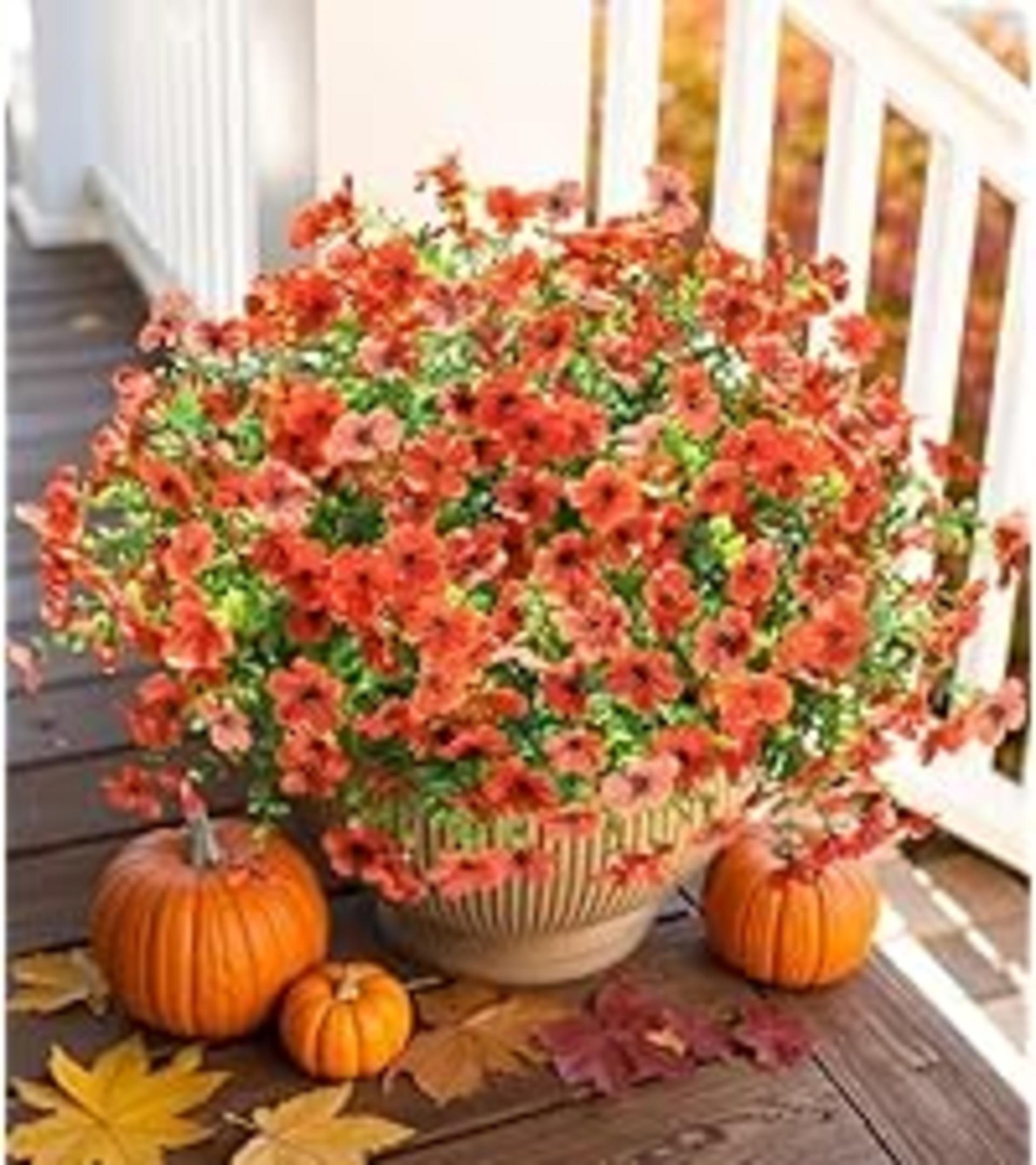 12 Bundles Artificial Fall Daisy Flowers with Eucalyptus Leaves, UV Resistant Faux Mums for Outdoor Indoor Decor detail 10