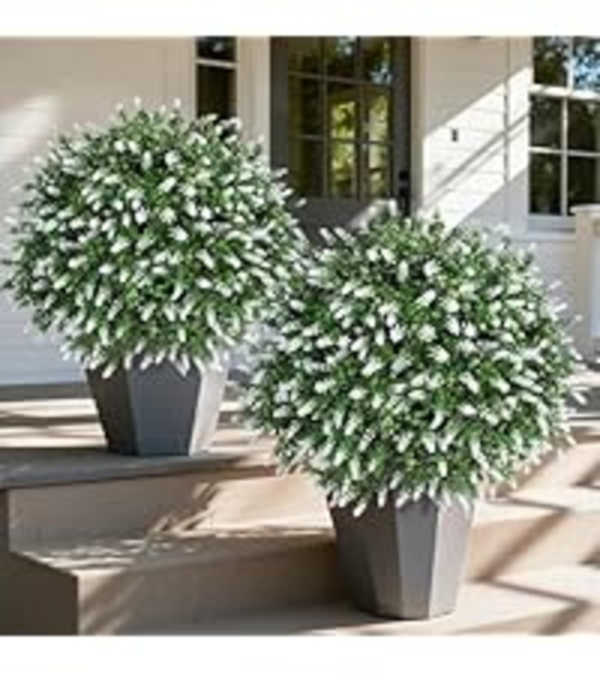 26'' Artificial Boxwood Topiary Trees with Lavender Flowers, 2-Pack UV Resistant Fake Shrubs detail 7