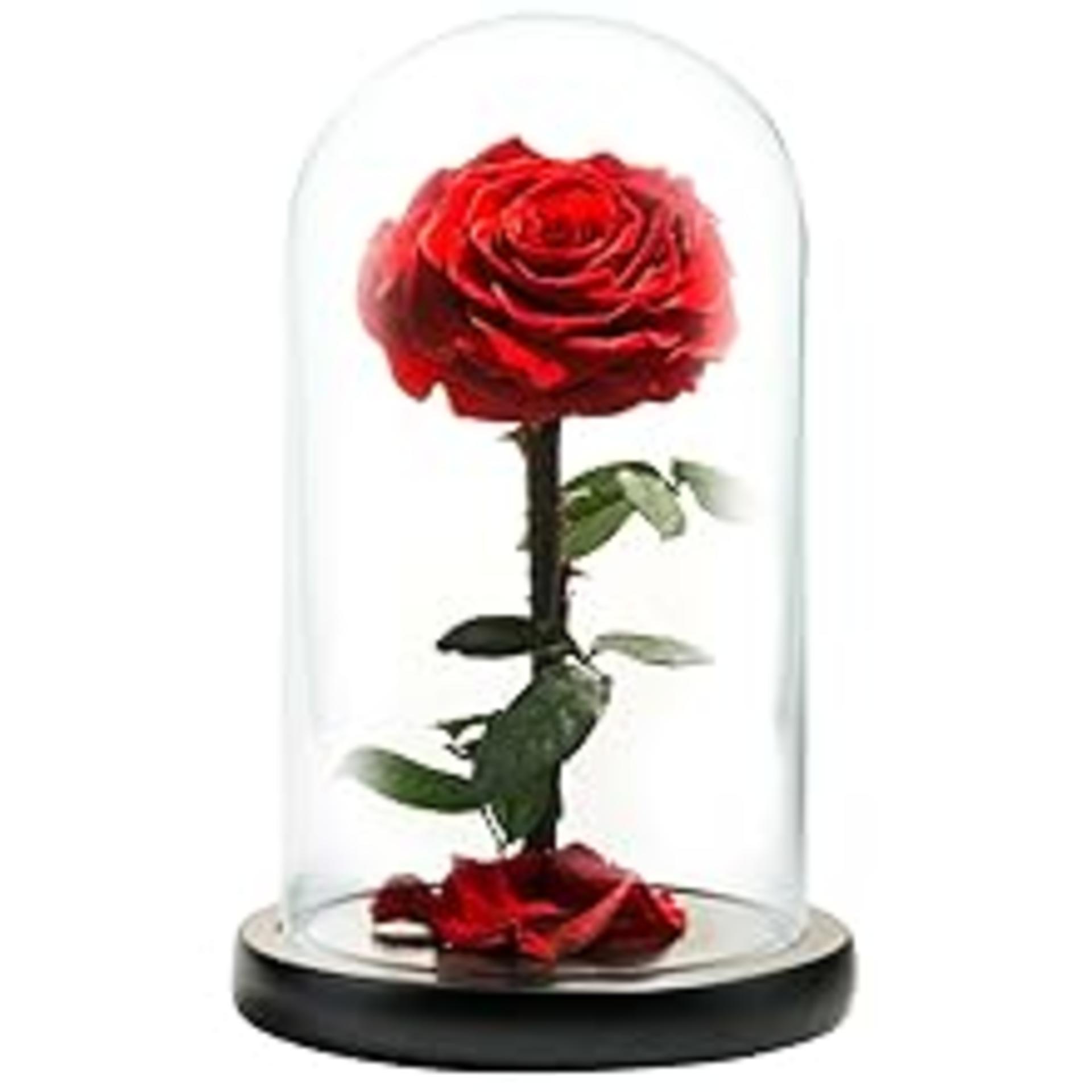 Forever Preserved Rose in Glass Dome - Real Eternal Rose Beauty and the Beast Gift for Women detail 3