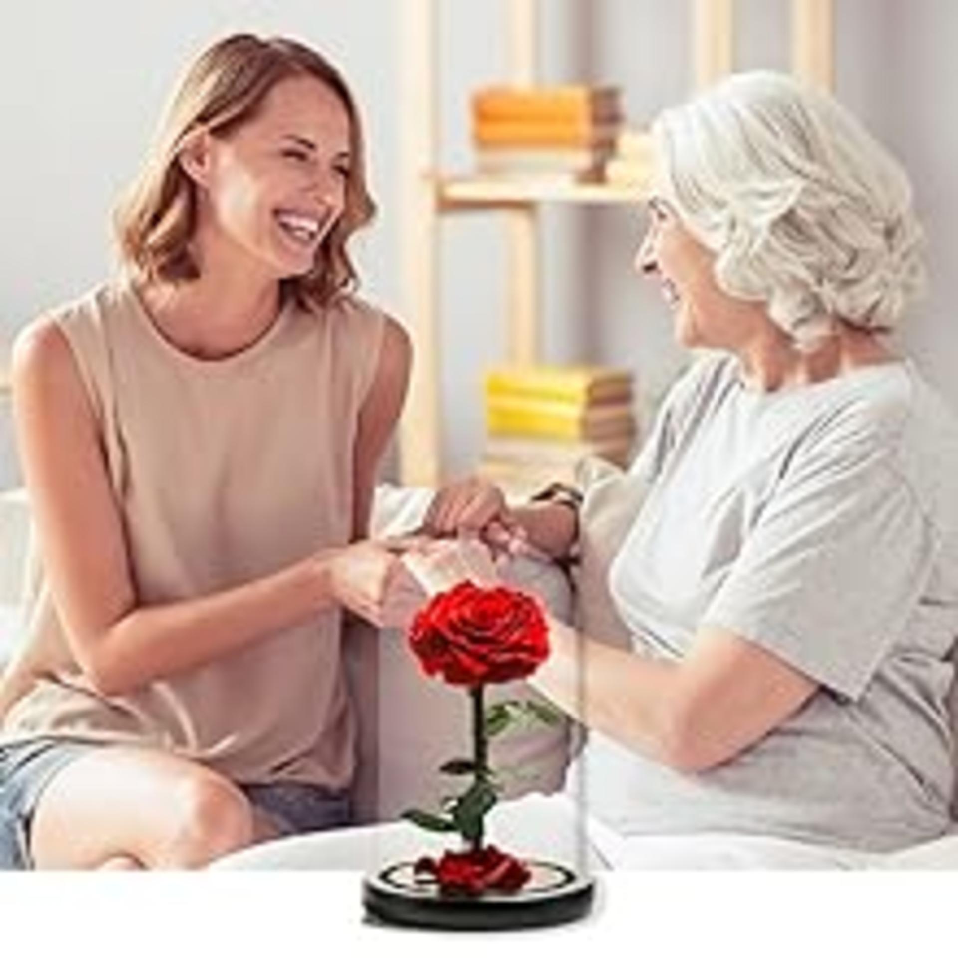 Forever Preserved Rose in Glass Dome - Real Eternal Rose Beauty and the Beast Gift for Women detail 6