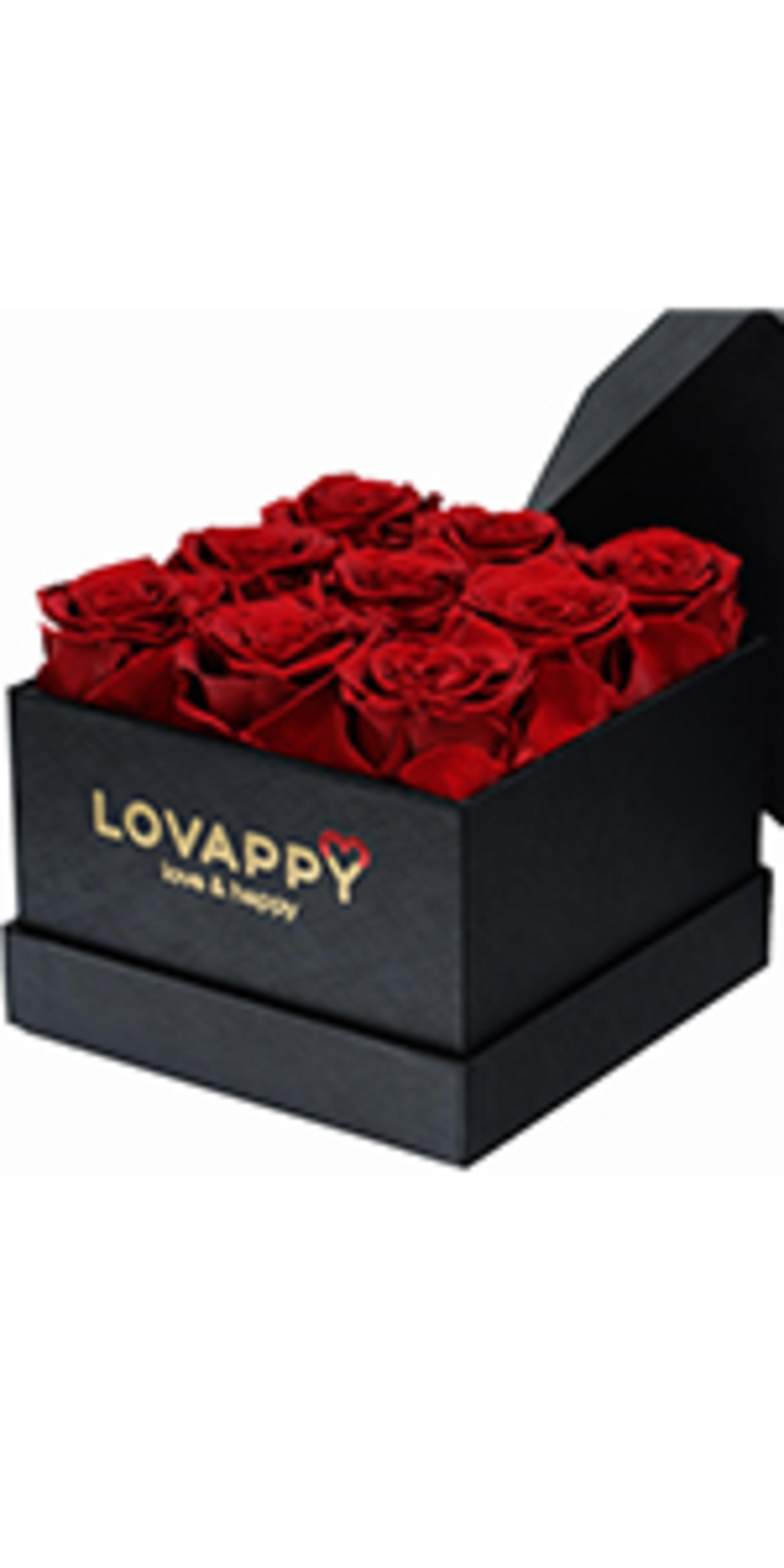 Forever Preserved Rose in Glass Dome - Real Eternal Rose Beauty and the Beast Gift for Women detail 9