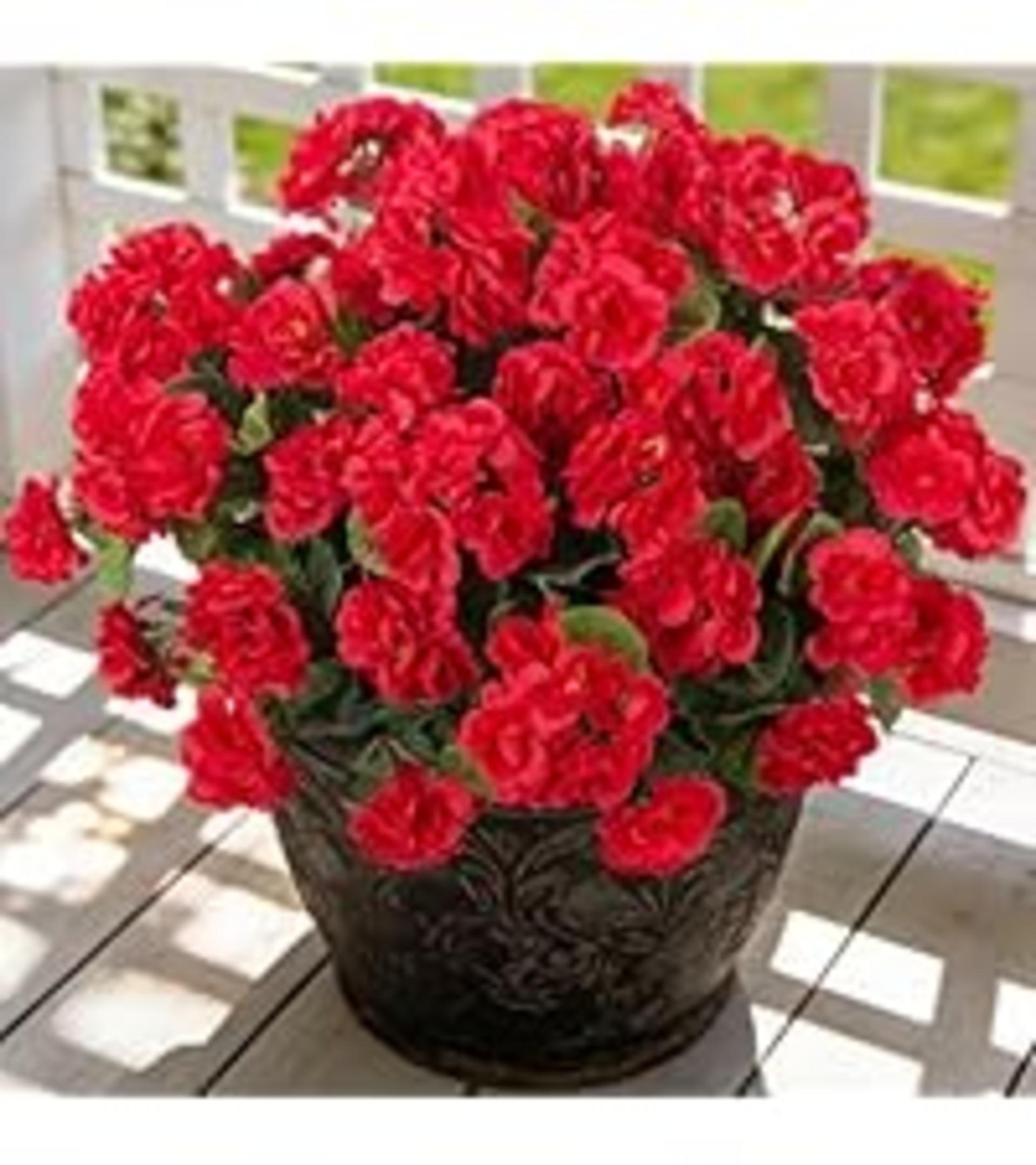 12 Bundles Artificial Daisy Flowers UV Resistant Faux Silk Mums for Outdoor Decor detail 10