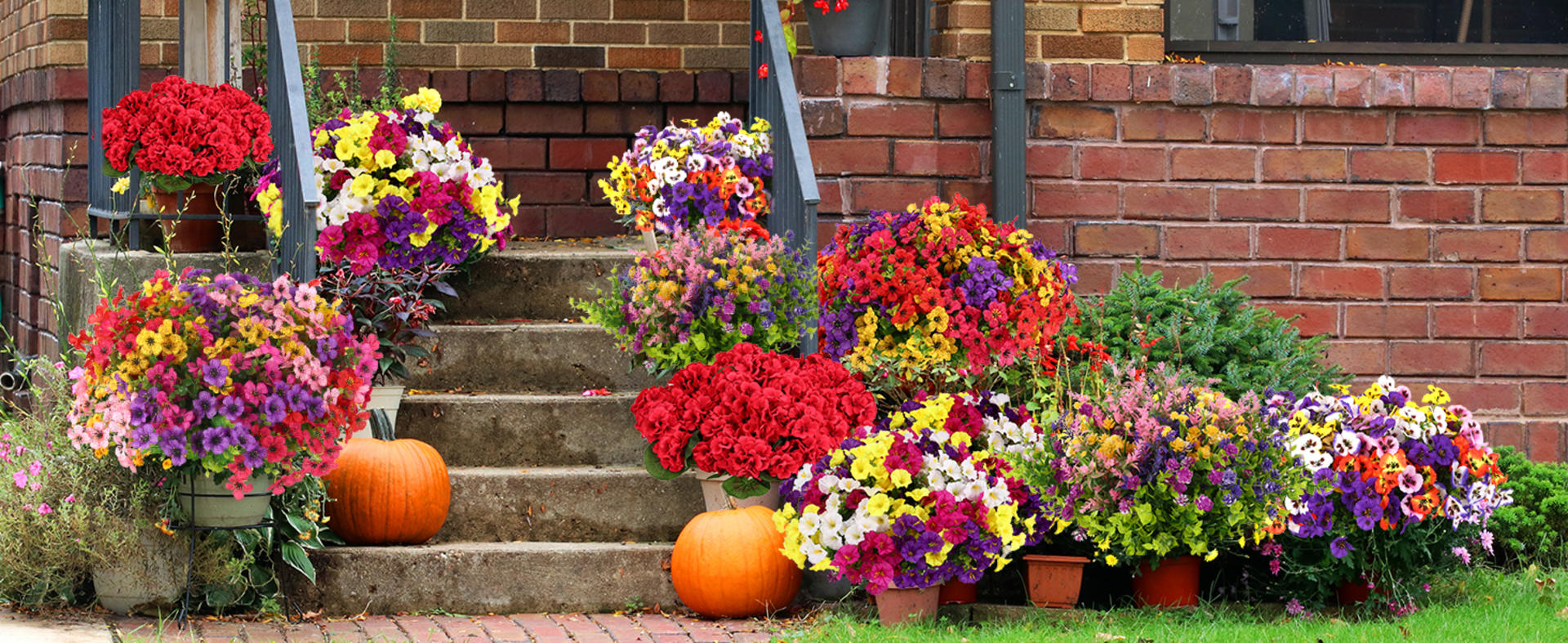 12 Bundles Artificial Pansy Flowers with Eucalyptus Leaves for Indoor Outdoor Decor detail 8