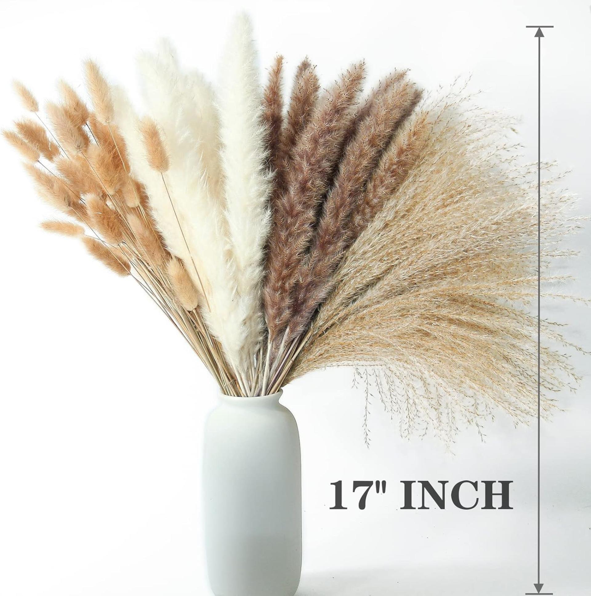 220 PCS Dried Pampas Grass Bouquet - Boho Floral Decor for Home, Wedding and Vases - 3