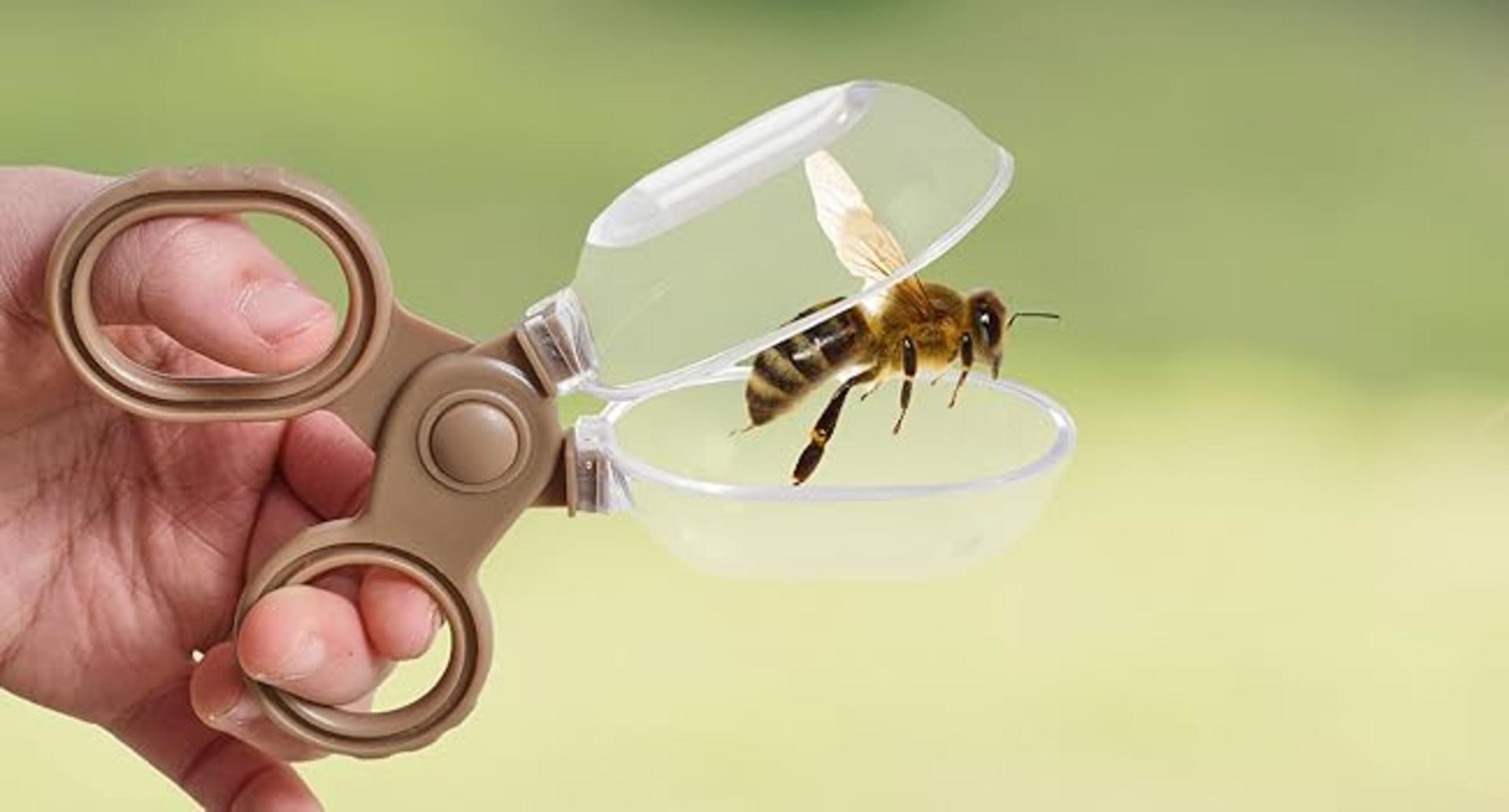 8-in-1 Montessori Wooden Bug Catcher Kit - STEM Outdoor Explorer Set for Kids detail 5