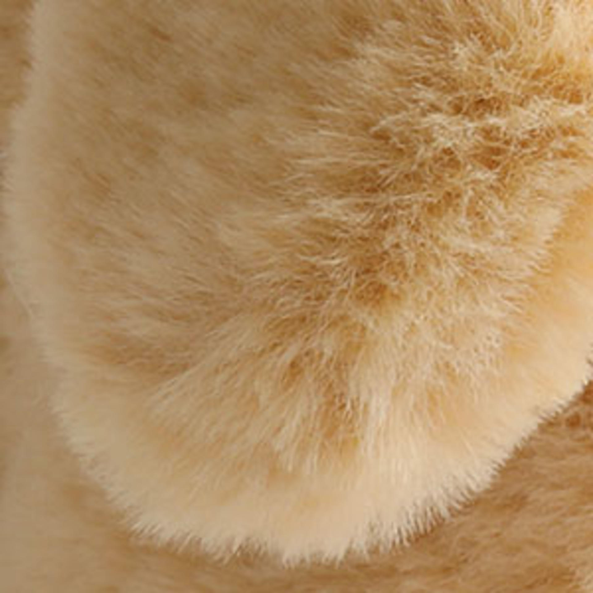 Plush Golden Retriever Toy Puppy - Electronic Interactive Dog for Kids and Toddlers detail 3