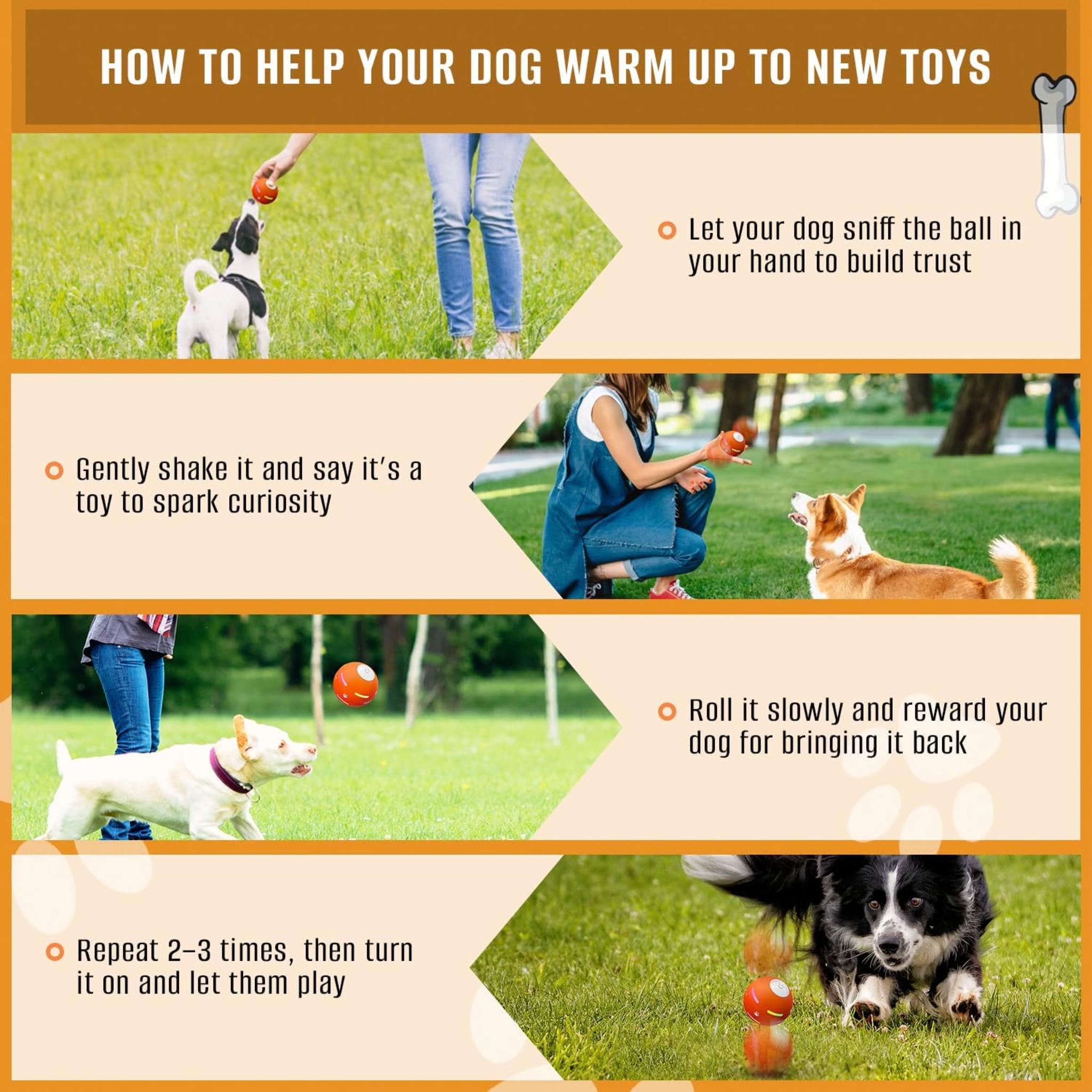 Interactive Dog Ball: Motion-Activated Rolling Toy with 2 Play Modes, USB Rechargeable