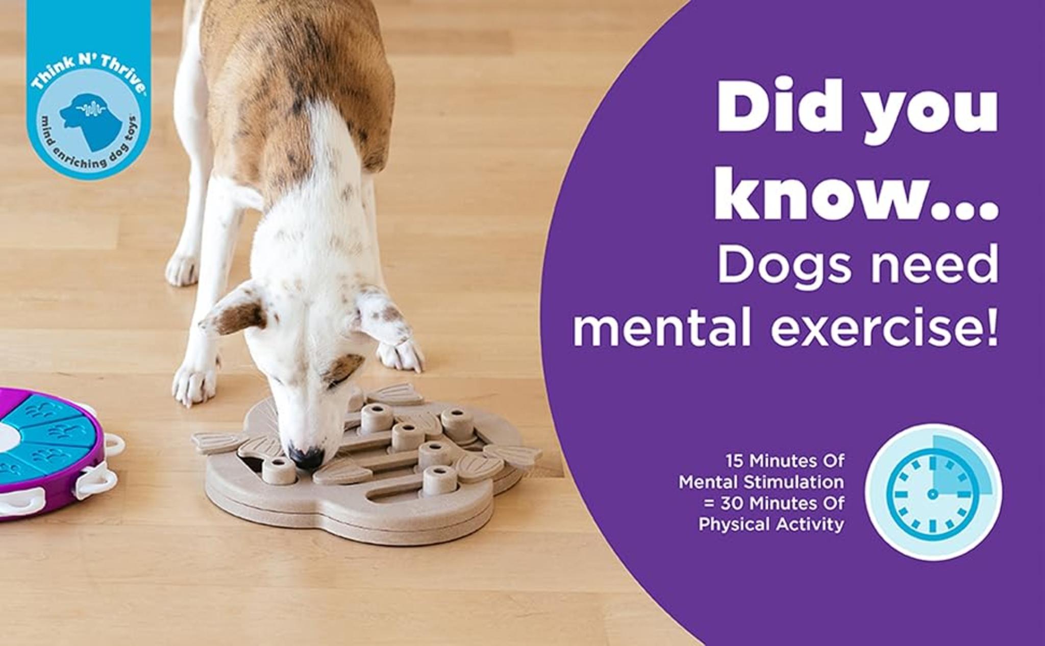 3-Tier Spinning Design - Adjustable Difficulty with Bone Covers | For All Dog Sizes image 8