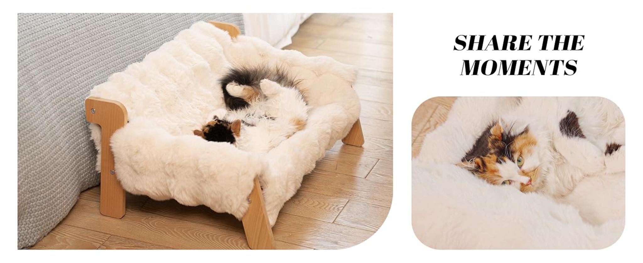 Elevated Cat Couch Bed with Removable Washable Cover, Solid Wood Frame for Indoor Cats and Small Dogs image 14