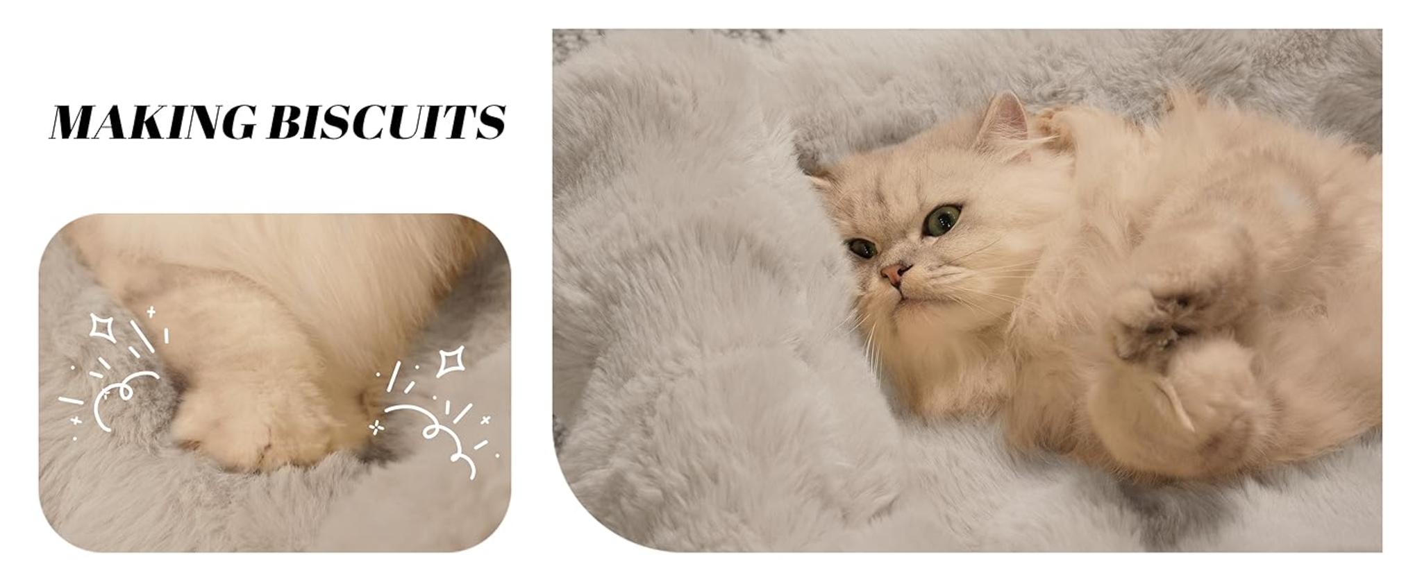 Elevated Cat Couch Bed with Removable Washable Cover, Solid Wood Frame for Indoor Cats and Small Dogs image 16