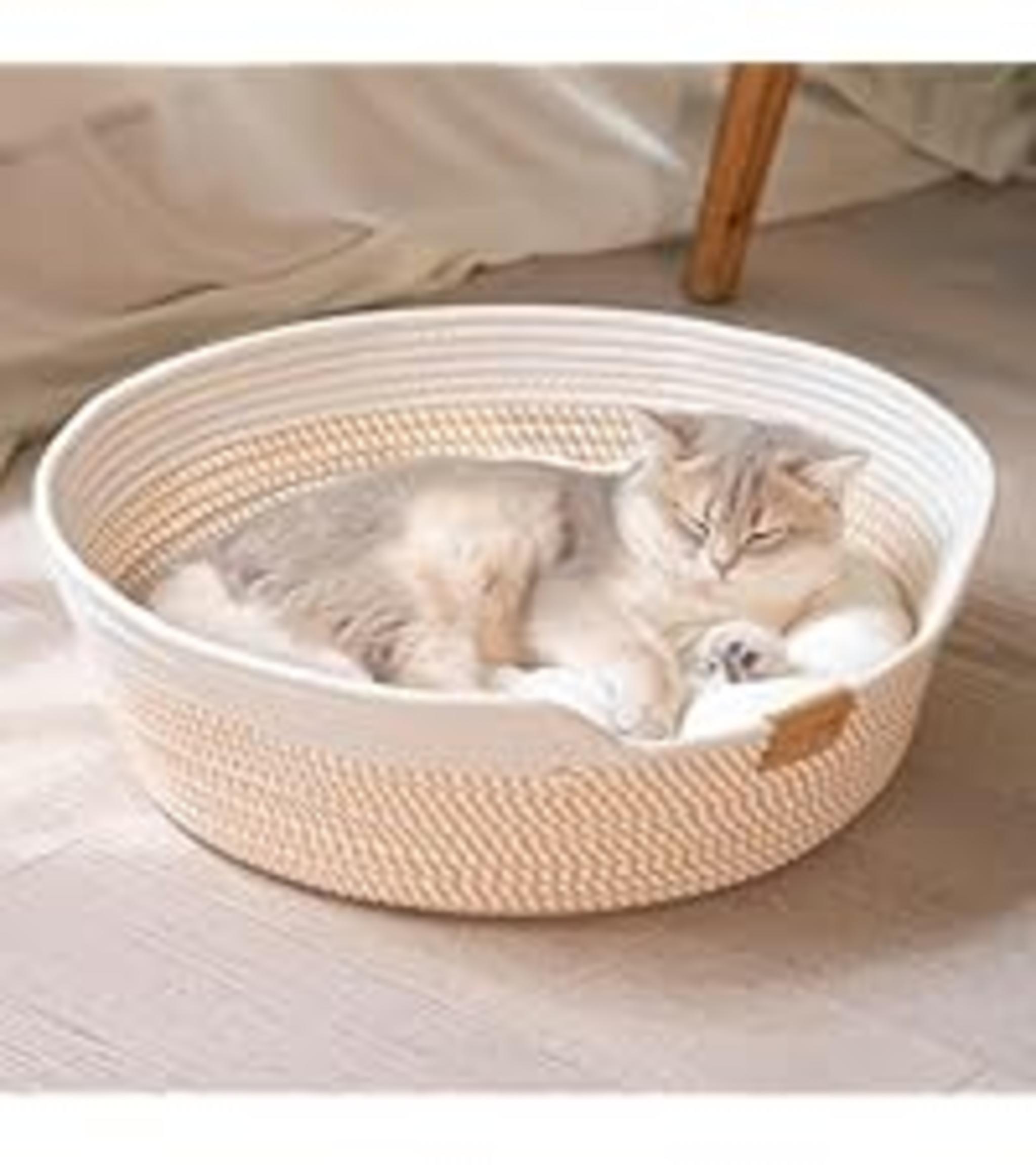 Elevated Cat Couch Bed with Removable Washable Cover, Solid Wood Frame for Indoor Cats and Small Dogs image 21