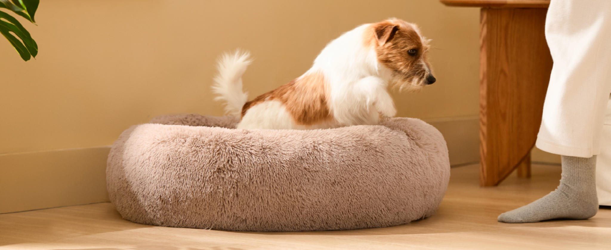 Anti-Slip Base, Plush Faux Fur, Fits up to 45 lbs - OEKO-TEX Certified image 13