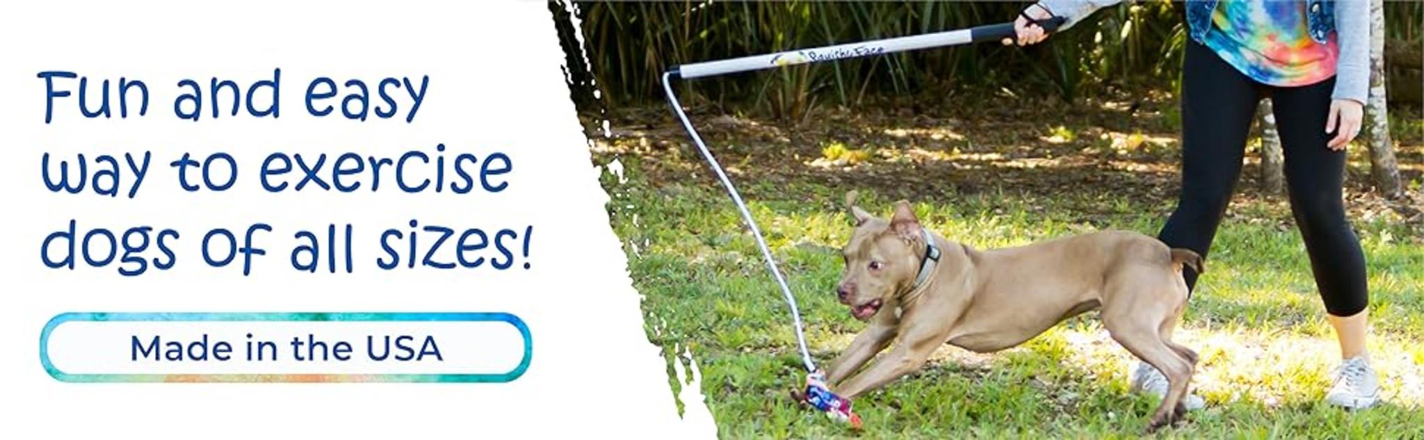 Durable Training Tool for Obedience & Exercise image 5