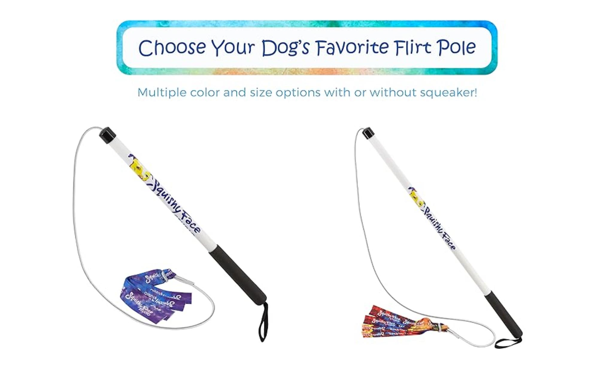 Durable Training Tool for Obedience & Exercise image 7