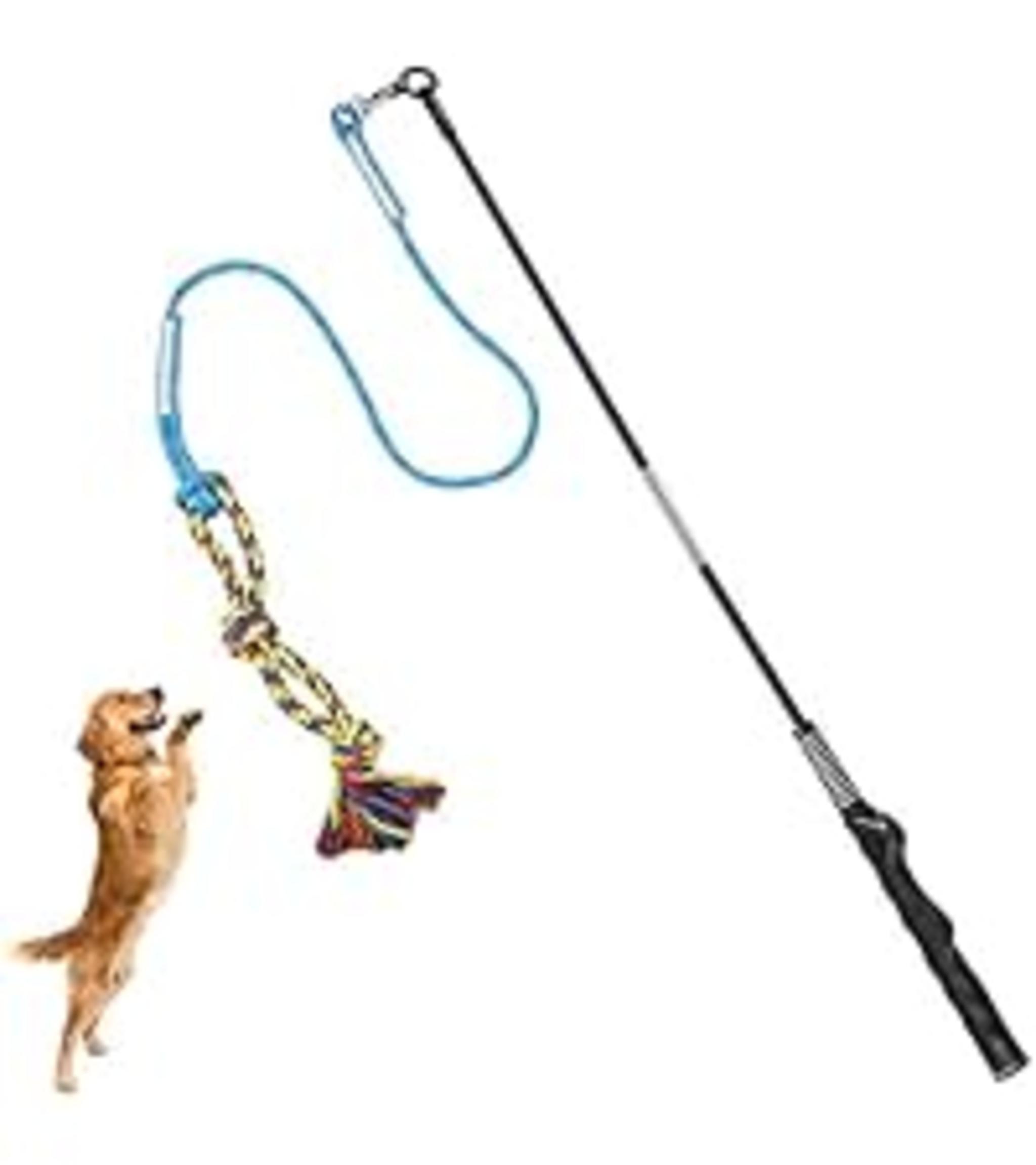 304 Stainless Steel Construction - Suitable for All Breeds & Life Stages image 13