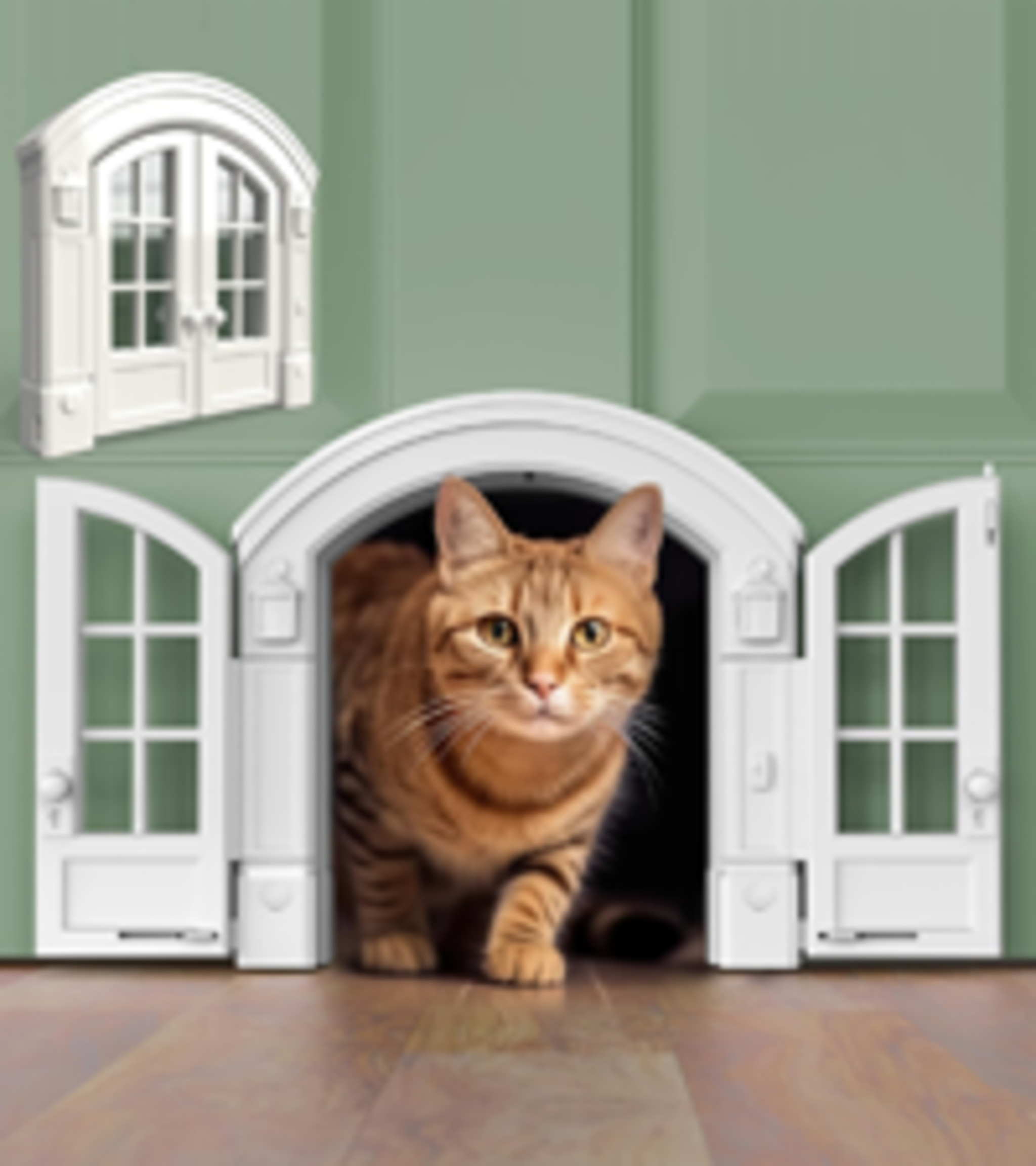 No-Flap Interior Cat Door for Pets Up to 20 lbs image 17