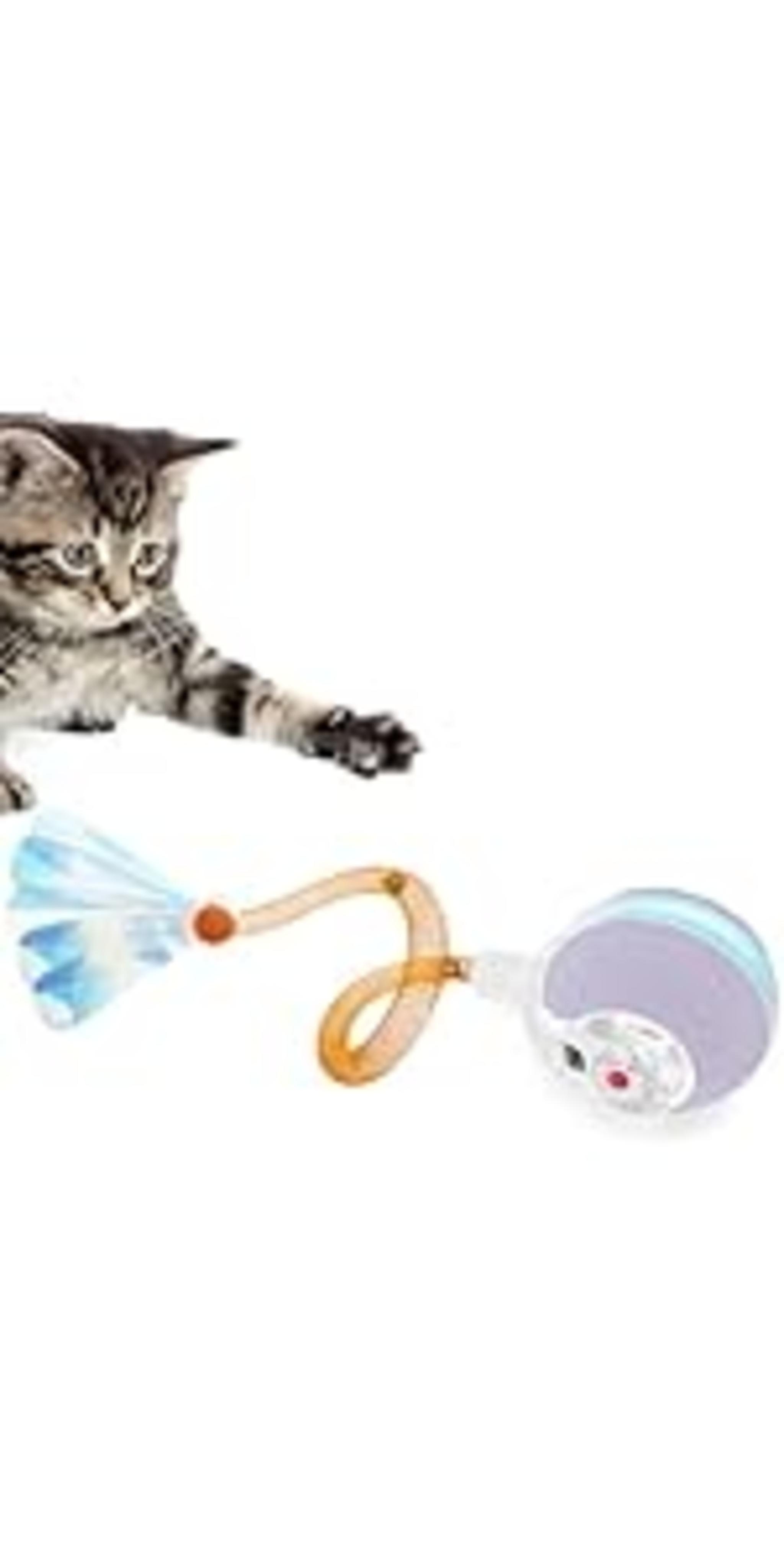 Automatic Cat Laser Toy with Real Random Trajectory & Motion Activation image 15