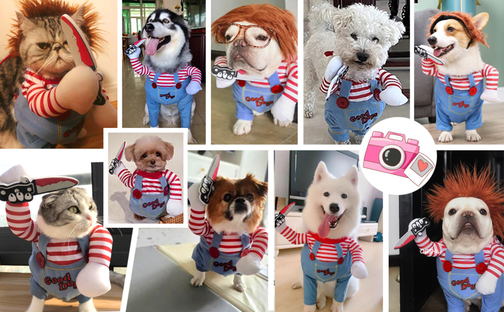 Chucky Killer Doll Pet Costume with Foam Knife & Wig - Cosplay for Dogs & Cats image 13