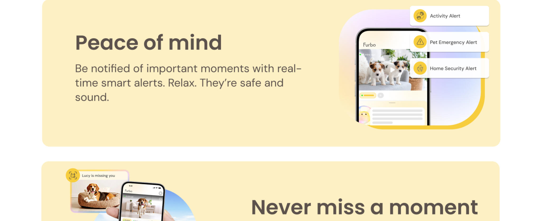 360° Dog Camera with Treat Dispenser - Home Security & Pet Monitoring with Subscription image 8