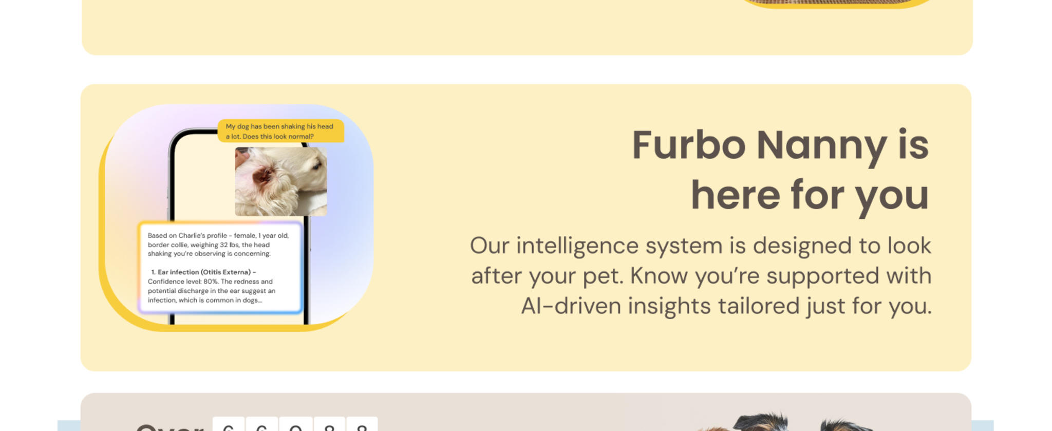 360° Dog Camera with Treat Dispenser - Home Security & Pet Monitoring with Subscription image 10