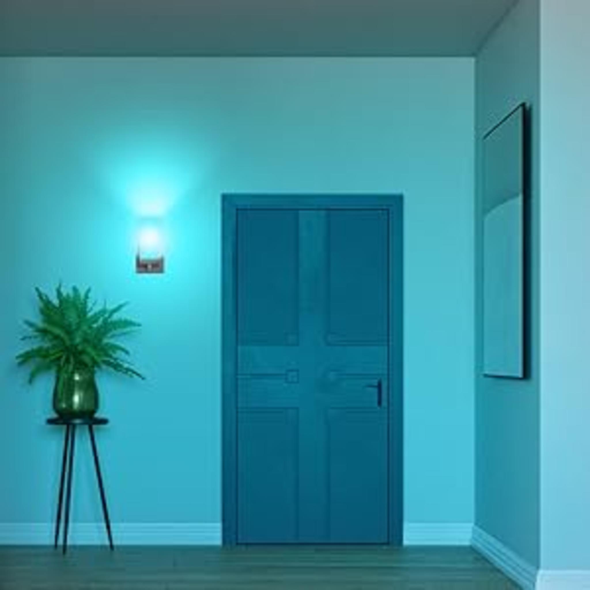 A19 Smart LED Light Bulb, 60W Equivalent, Dimmable, RGBW Color Changing image 11