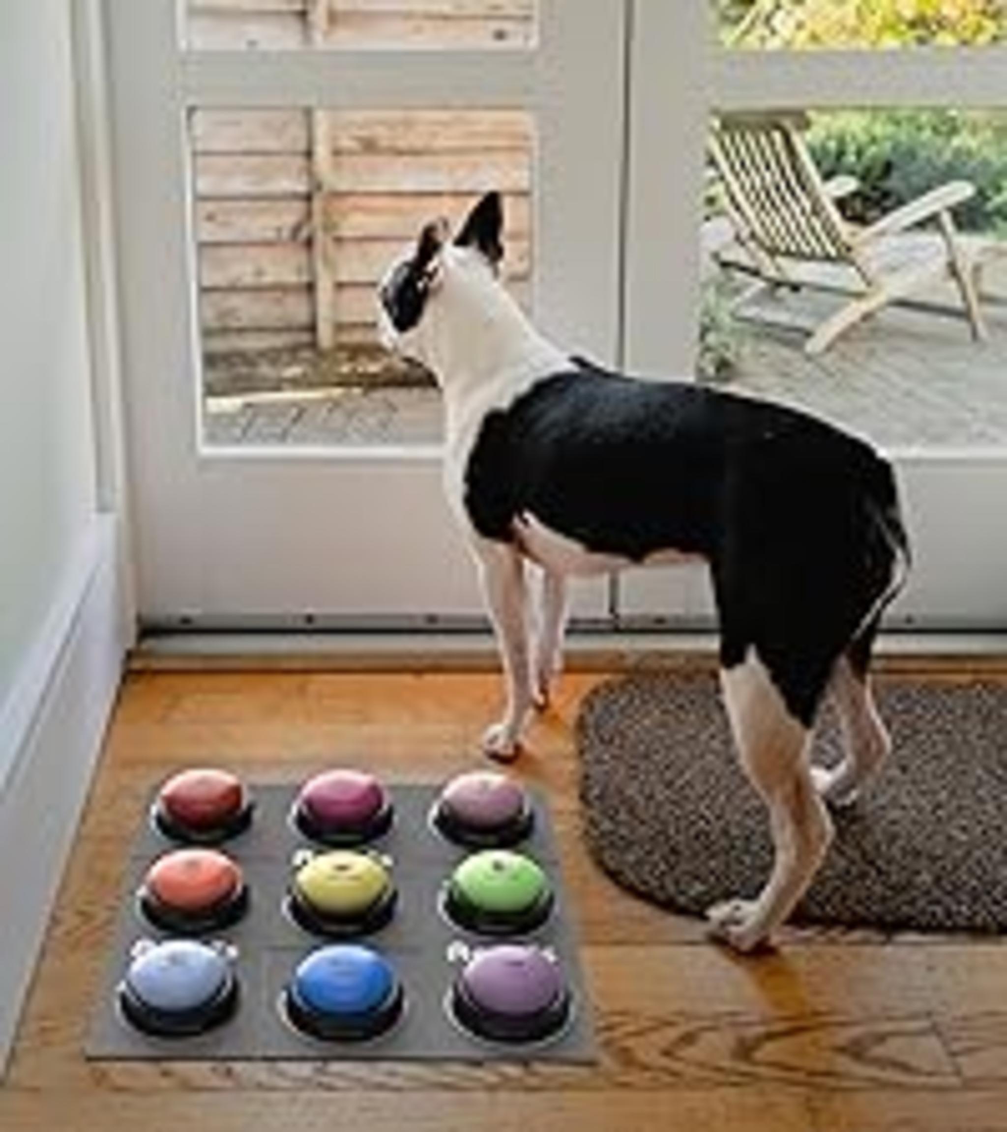 8-Color Button Set with Waterproof Mat - Includes 48 Scene Stickers image 22