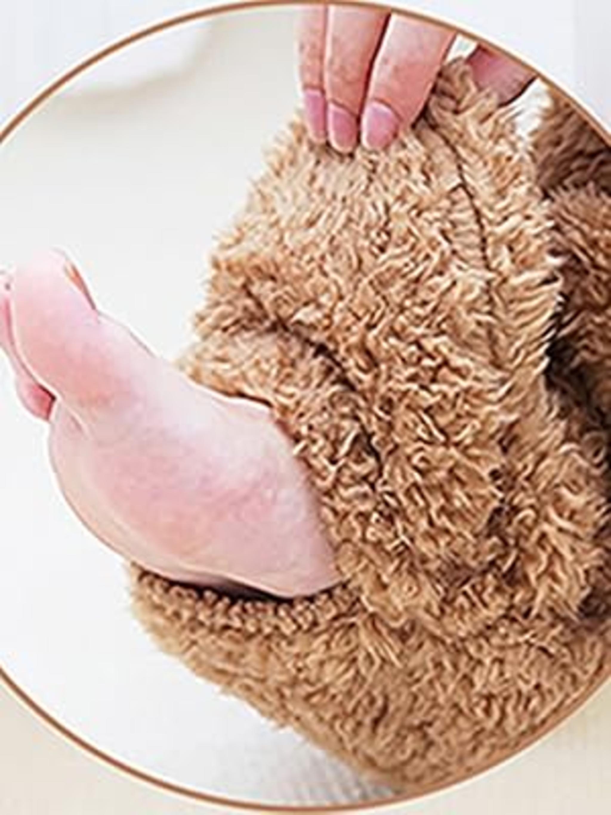 Thigh High Fuzzy Socks - Plush Teddy Bear Non-Slip Warm image 11