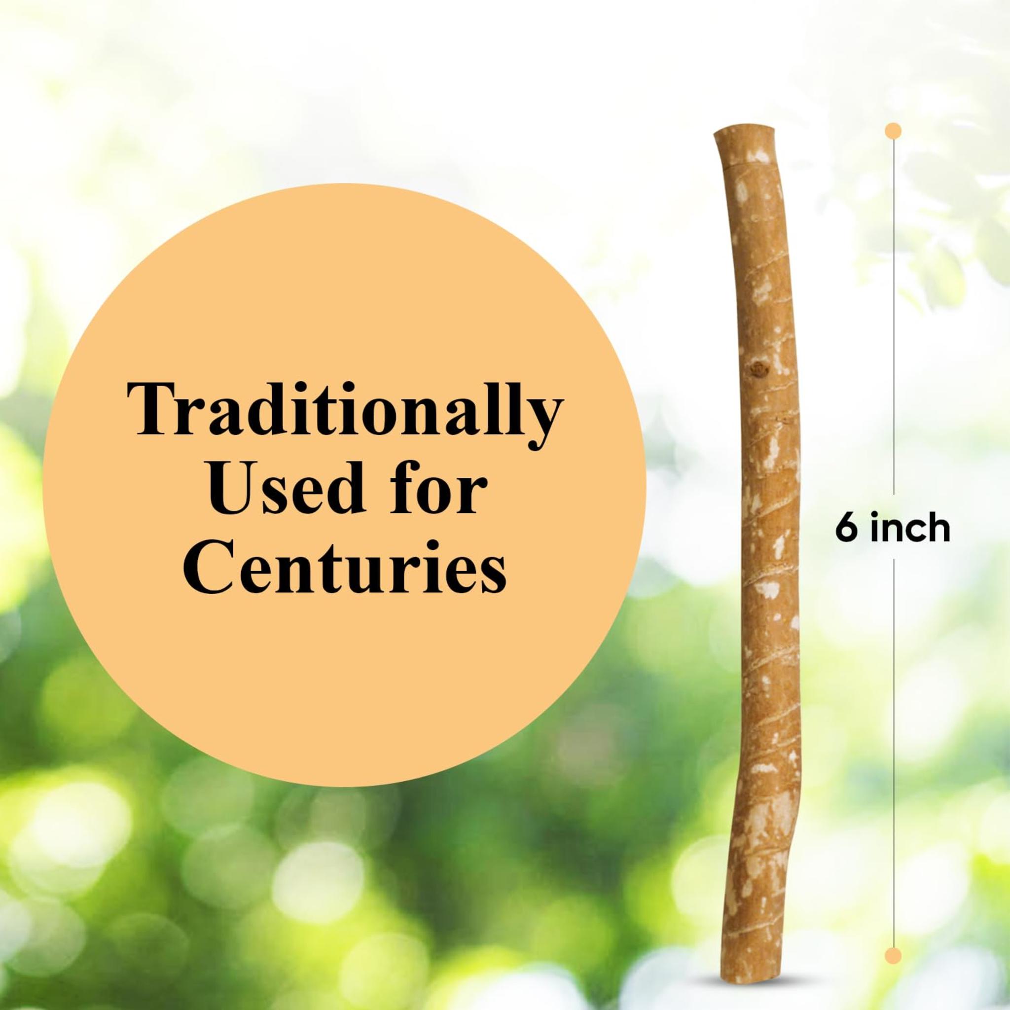 Natural Toothbrush Sticks (10-Pack) - Soft Bristles & Eco-Friendly