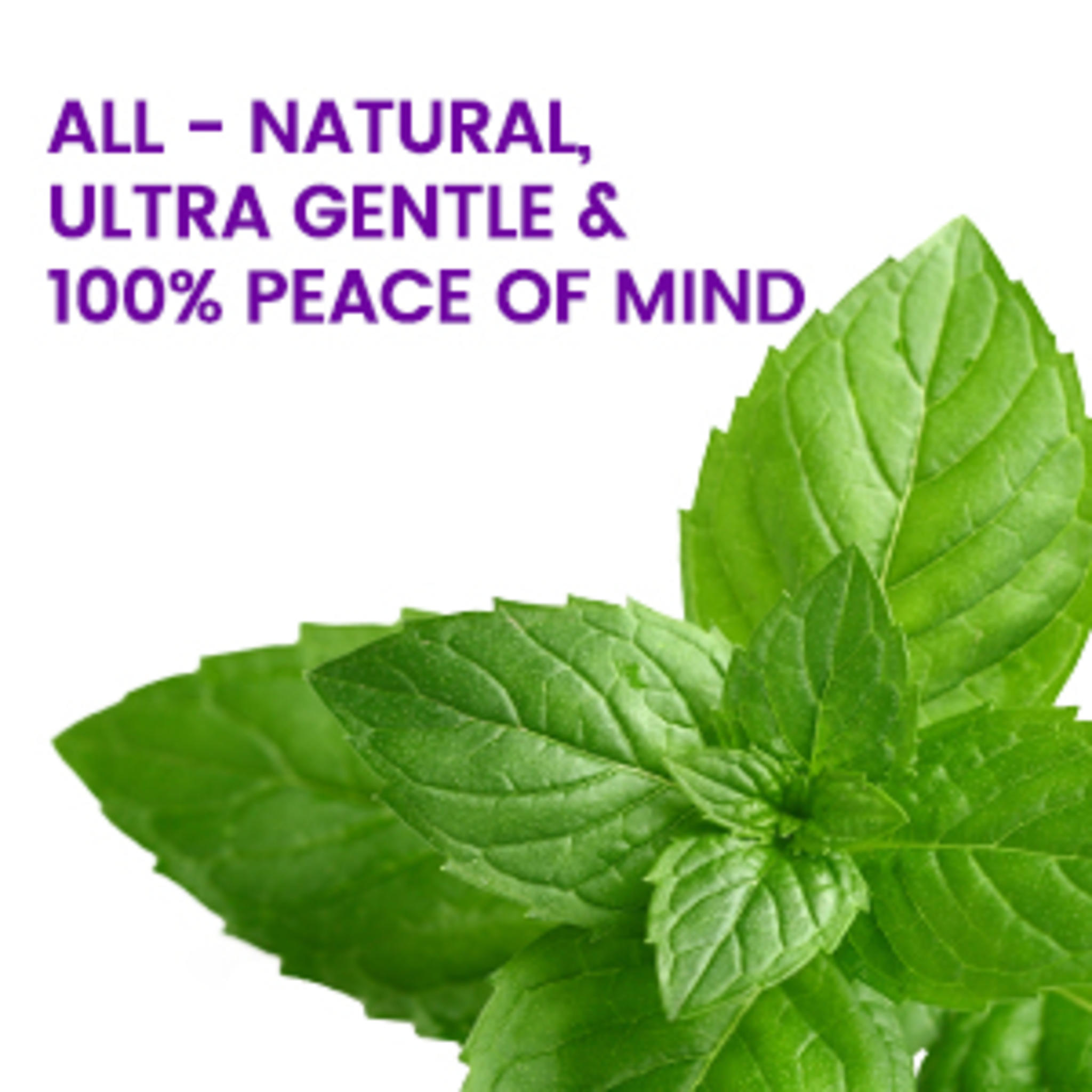 7 Probiotics Deep Whitening Toothpaste with Purple Beads - Fluoride-Free & Enamel-Safe image 9