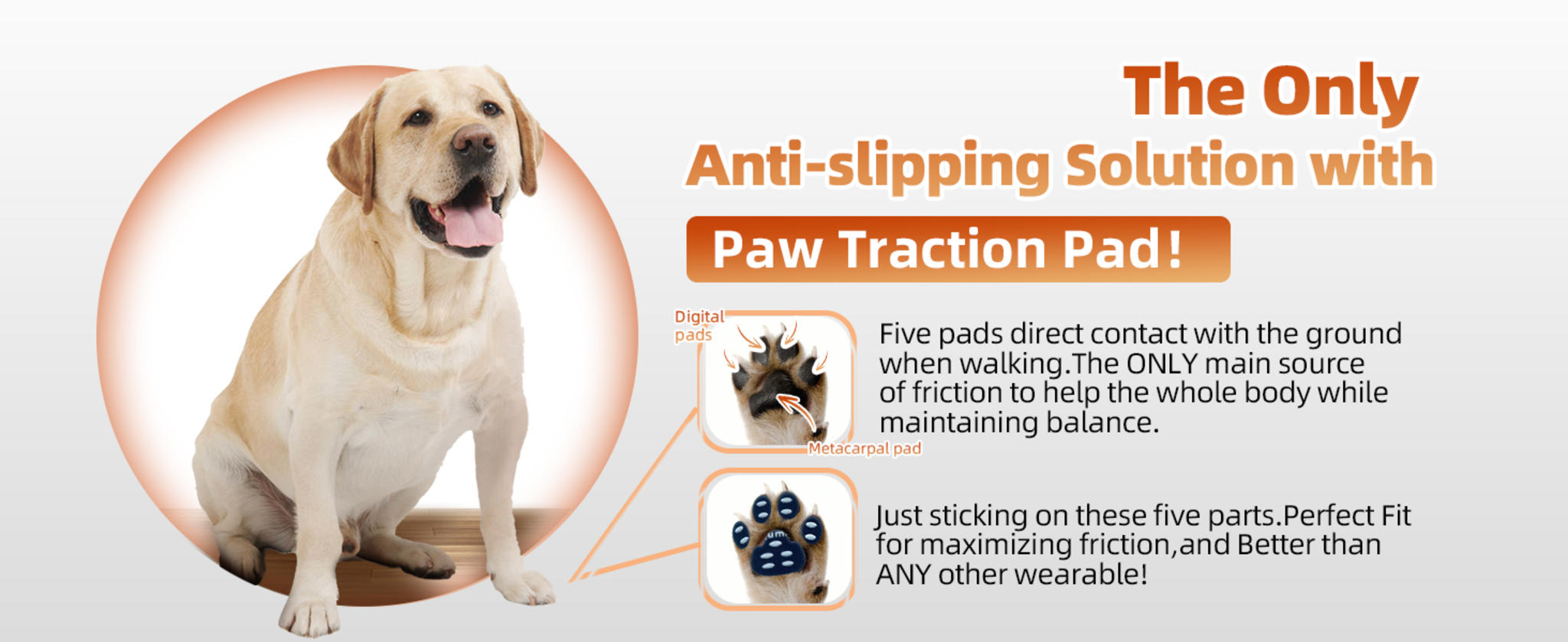 Dog Anti-Slip Paw Grips Traction Pads, 48-Piece Set image 8