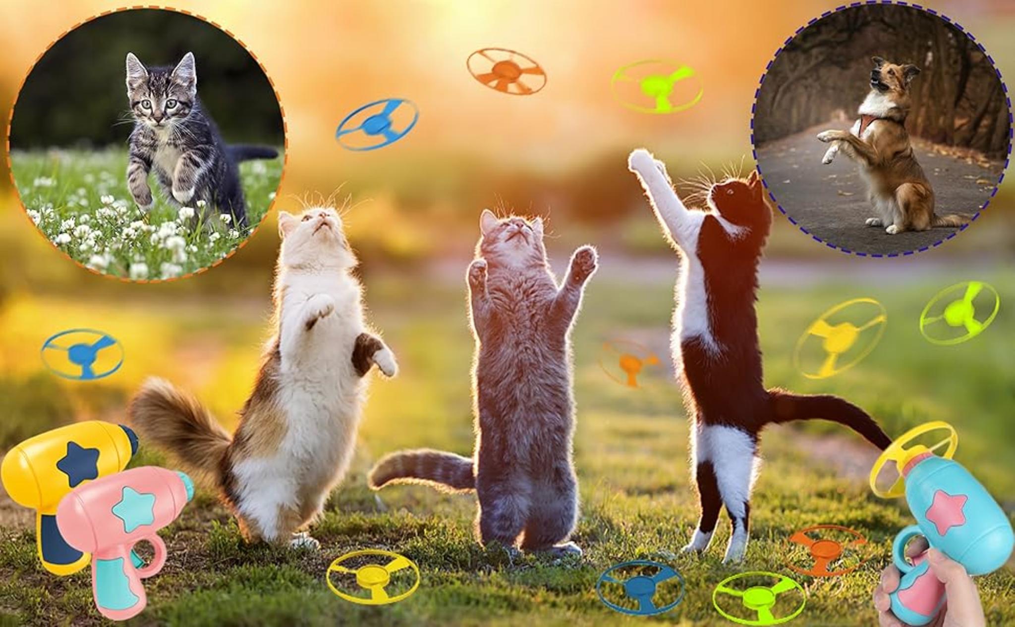 15-Piece Cat Fetch Toy Set with Colorful Flying Propellers image 9