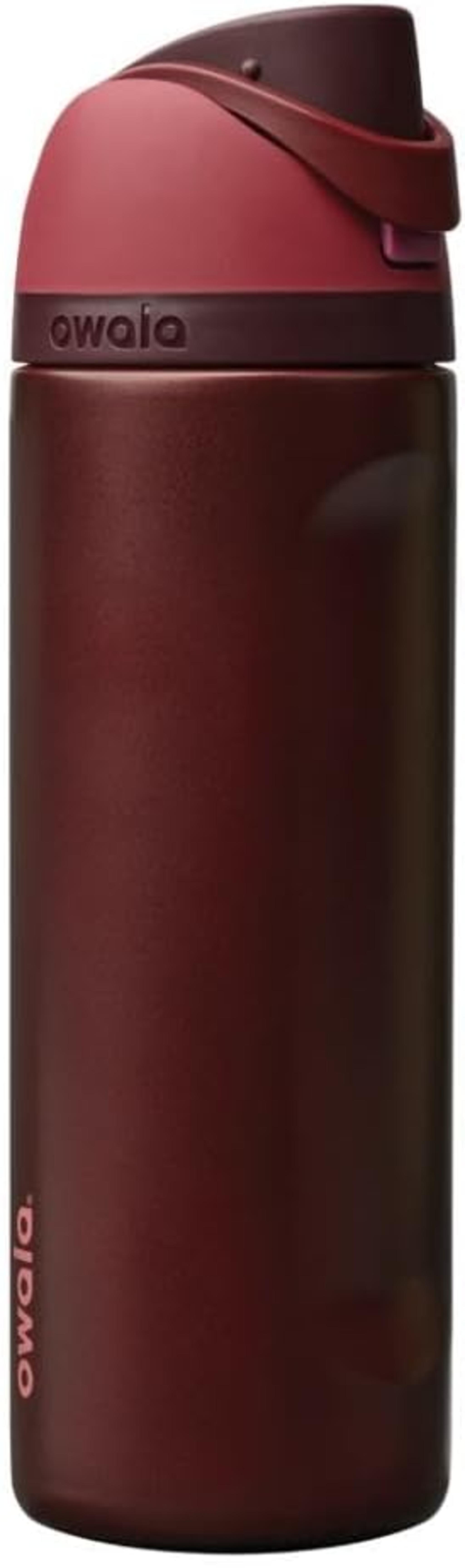 24oz Insulated Stainless Steel Water Bottle with Straw & Locking Lid - BPA-Free, 24-Hour Cold Retention