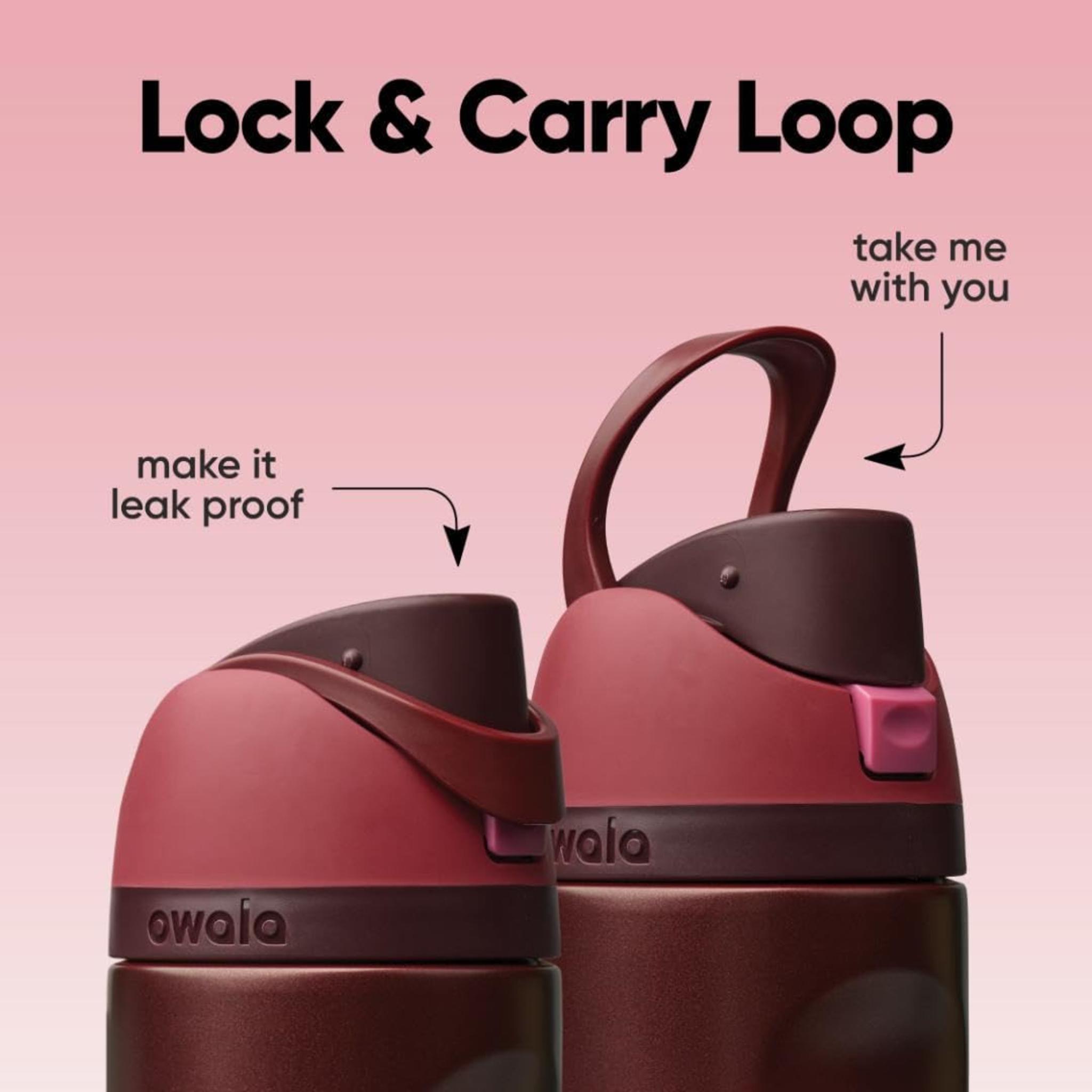 24oz Insulated Stainless Steel Water Bottle with Straw & Locking Lid - BPA-Free, 24-Hour Cold Retention