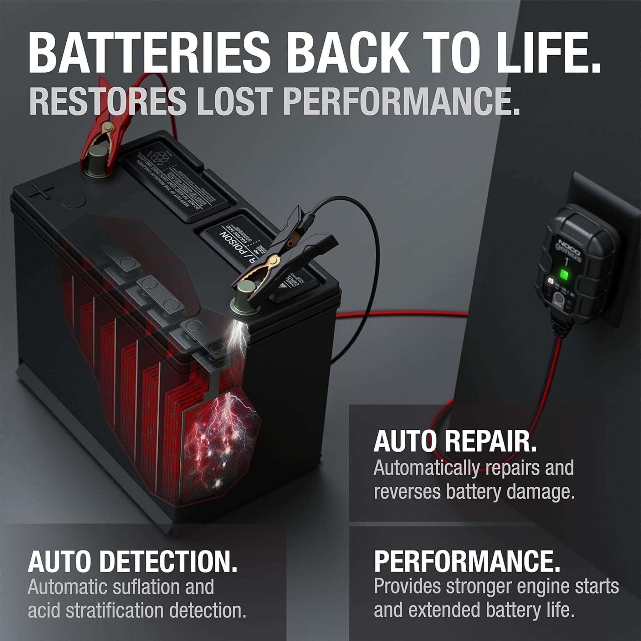 1A 6V/12V Smart Battery Charger, Automatic Maintainer & Trickle Charger with Desulfator