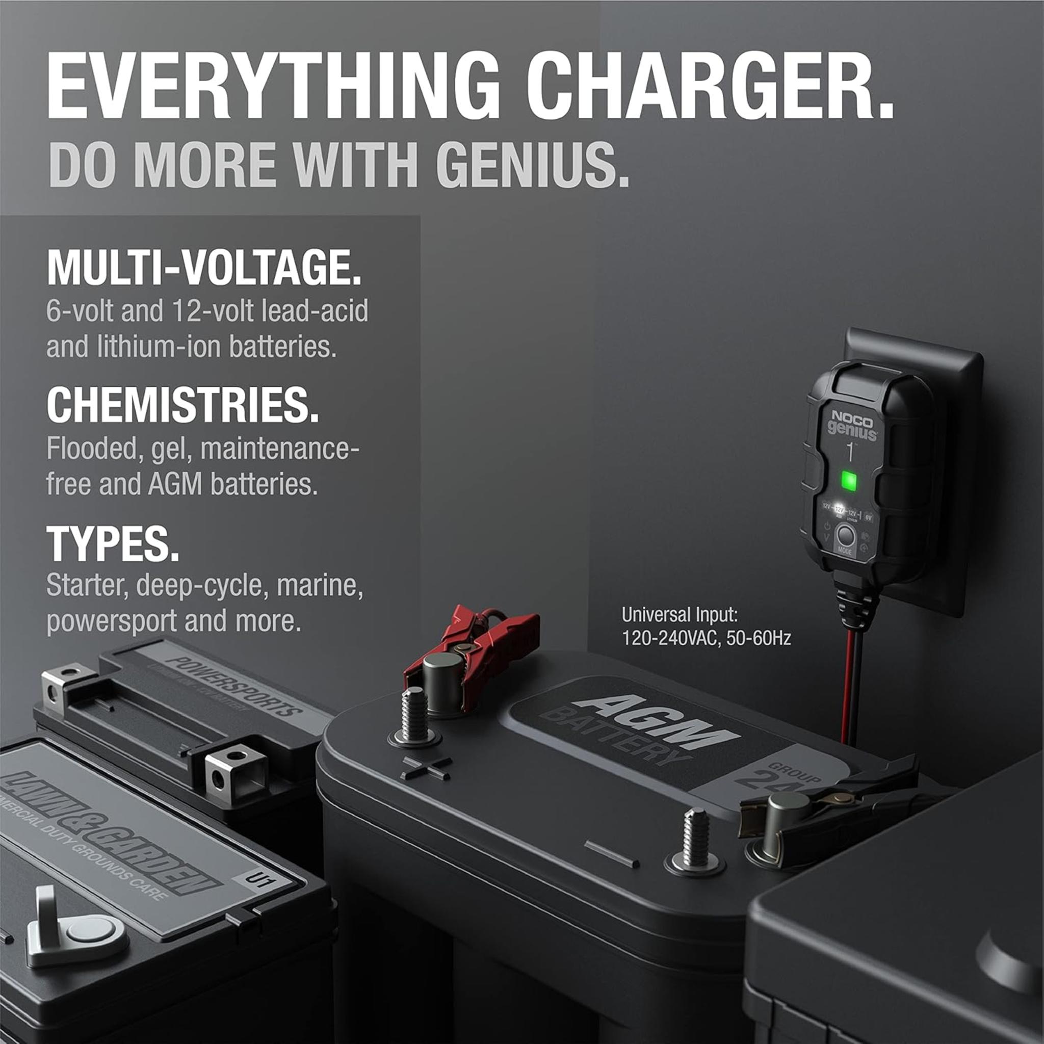 1A 6V/12V Smart Battery Charger, Automatic Maintainer & Trickle Charger with Desulfator