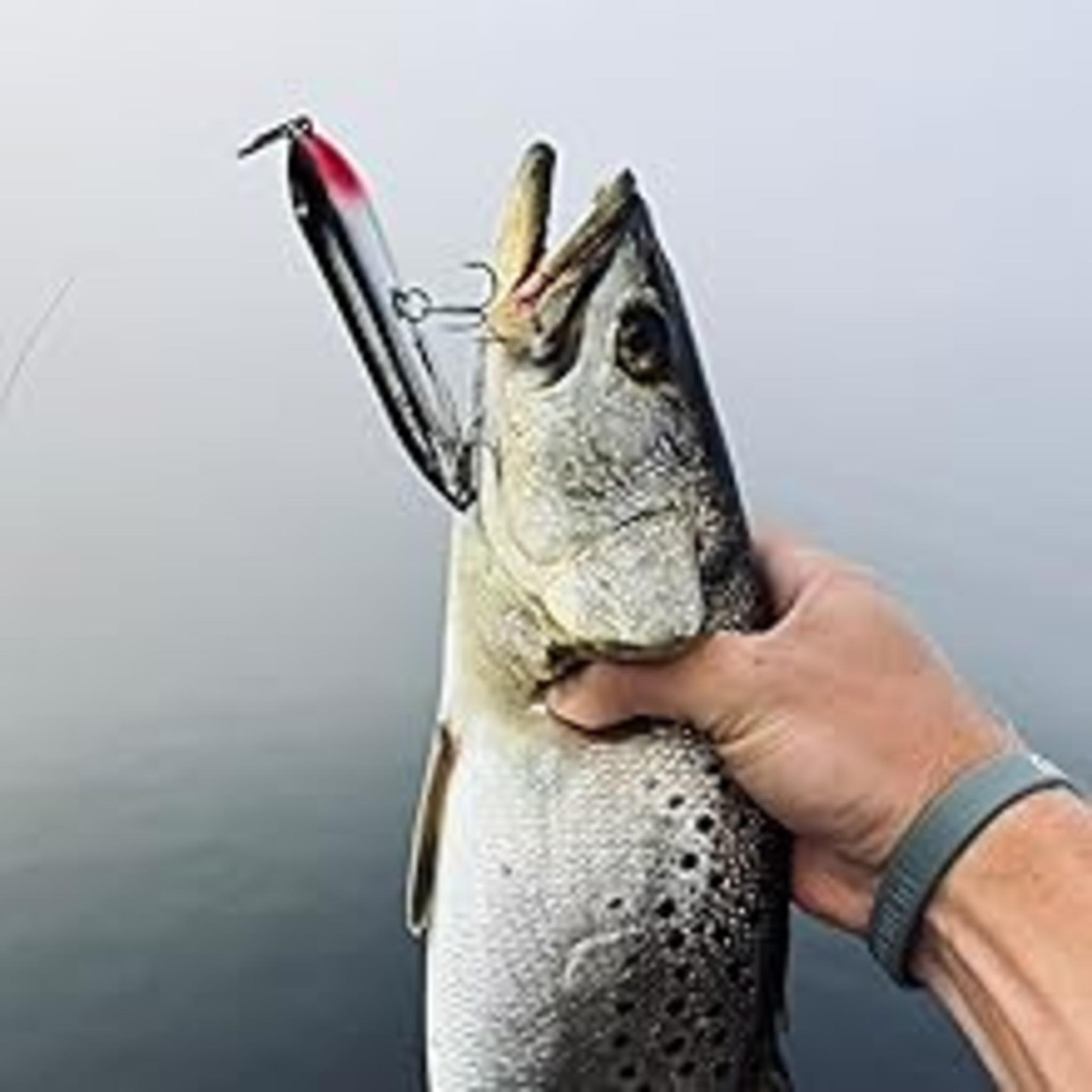 Speed Clips Super Sample Pack - Fast Lure Change Fishing Snaps (15lb to 120lb) image 9