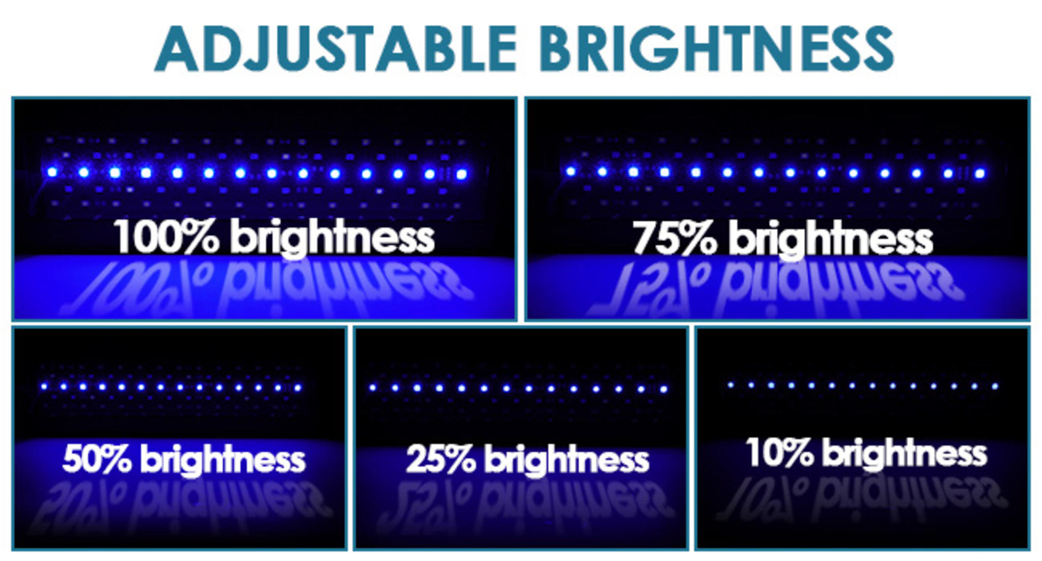 Clip-On 24/7 Aquarium LED Light with Sunrise-Daylight-Moonlight Modes & DIY Timer for Planted Tanks image 18