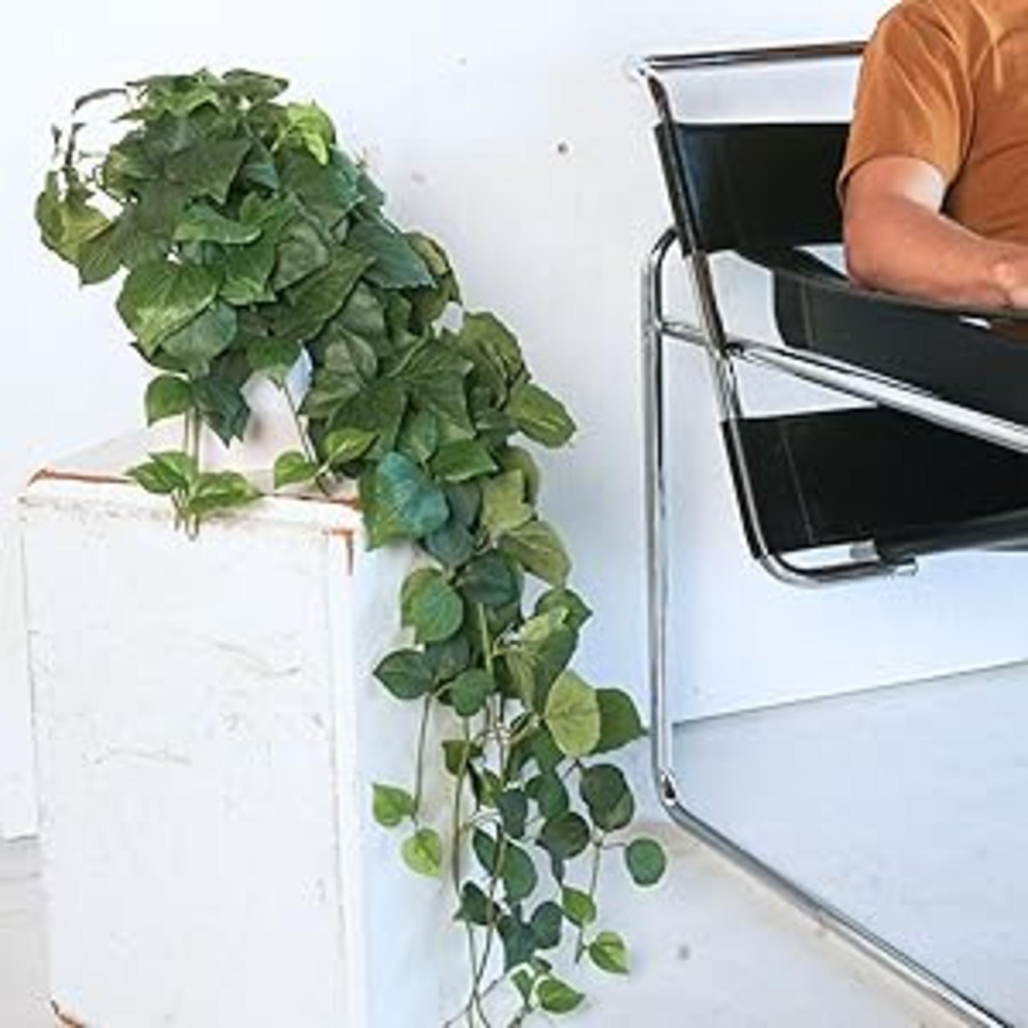 32" Realistic Artificial Pothos Ivy Plant - Silk Hanging Greenery for Aesthetic Home Decor image 12