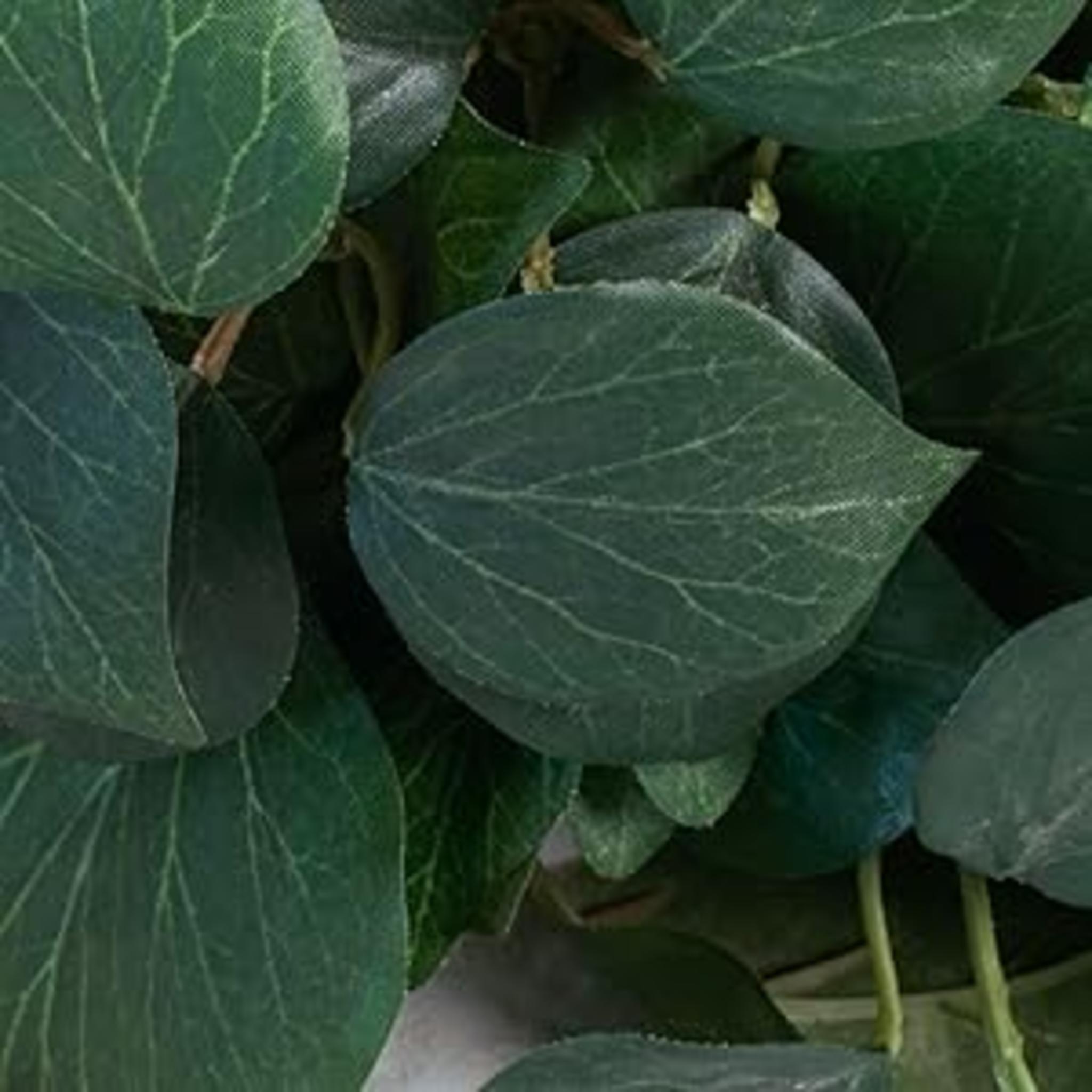 32" Realistic Artificial Pothos Ivy Plant - Silk Hanging Greenery for Aesthetic Home Decor image 13