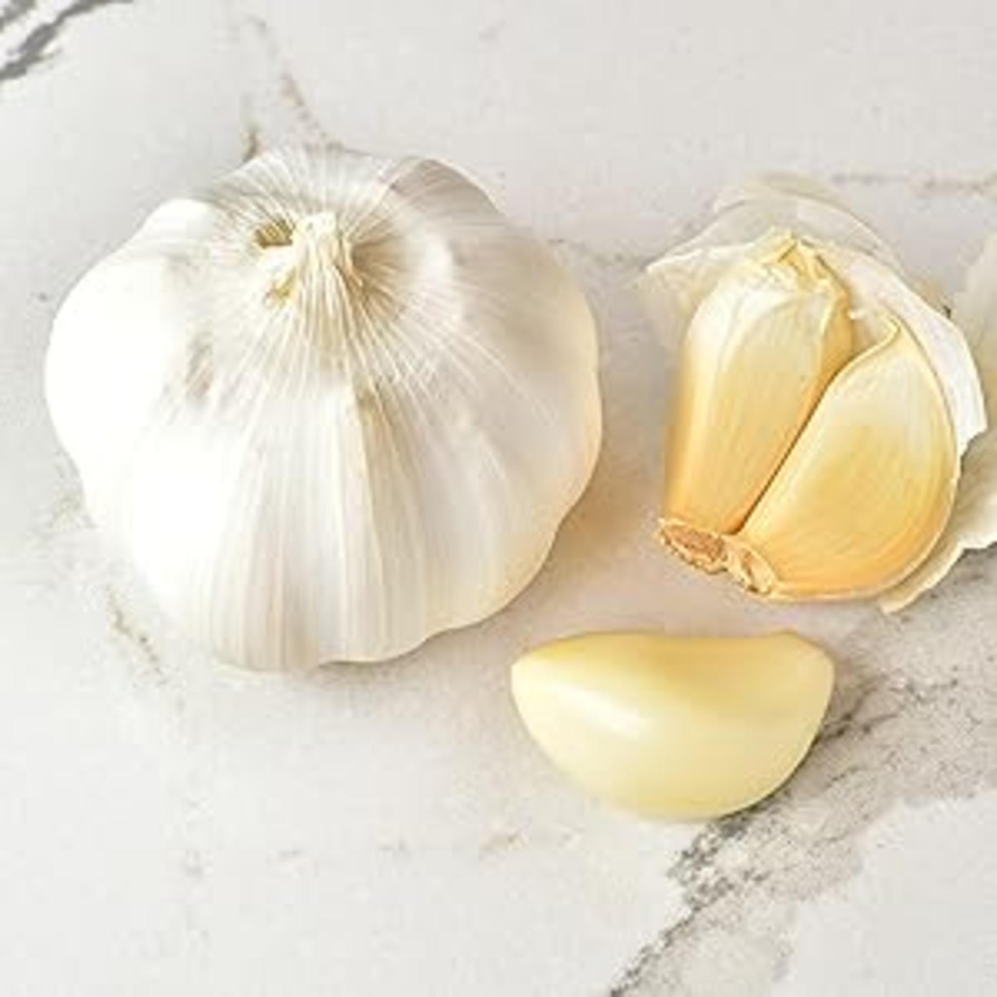 4th Gen Garlic Twister & Mincer - Multifunctional Tool for Ginger, Herbs, and Nuts image 16