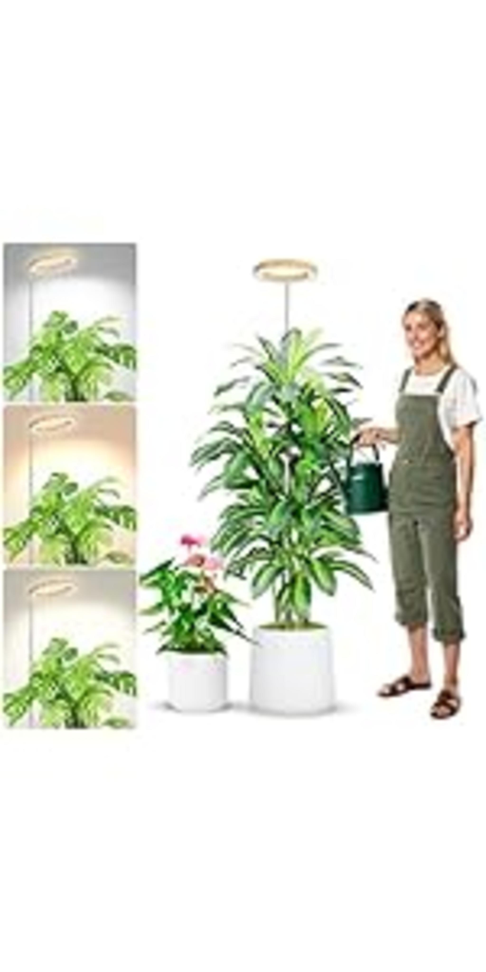 Full Spectrum LED Grow Lights for Indoor Plants - 3 Pack Height Adjustable Halo Plant Lights with Timer image 21