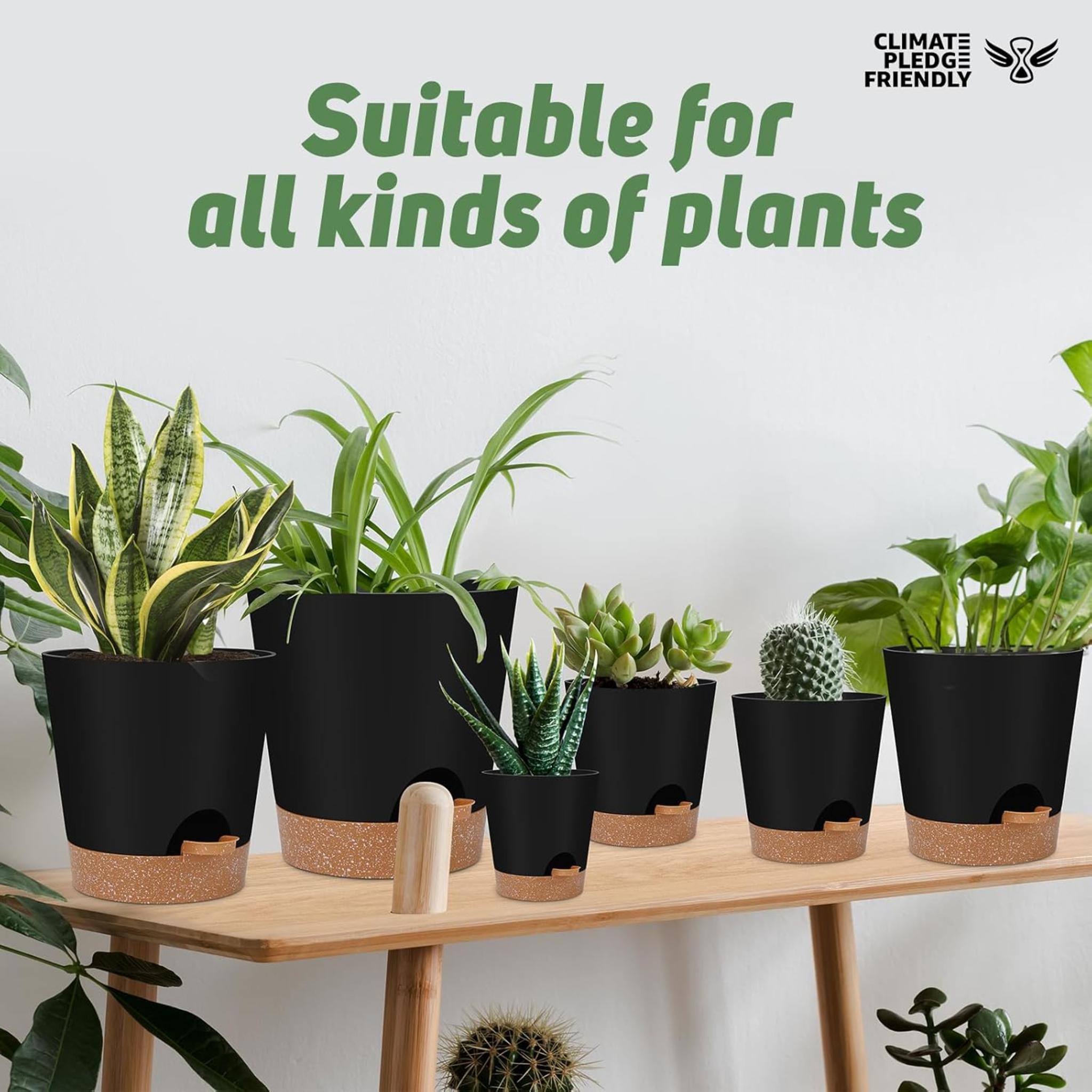 Indoor Self Watering Planters with Drainage Holes and Saucers, Set of 6 (5-8 Inch)