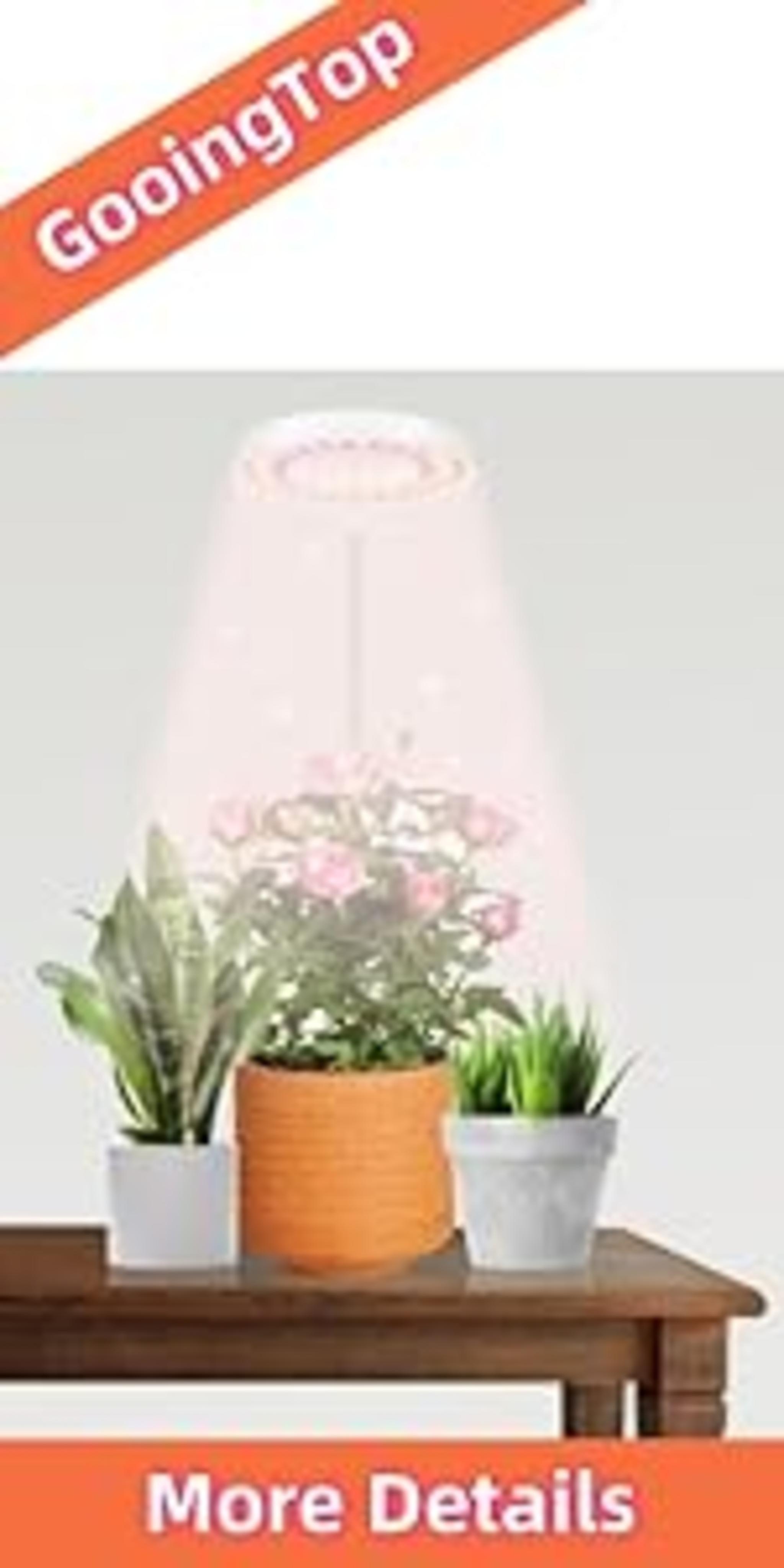 Full Spectrum LED Grow Light with 6000K White Red LEDs, Auto Timer & 5-Level Dimming for Indoor Plants image 15