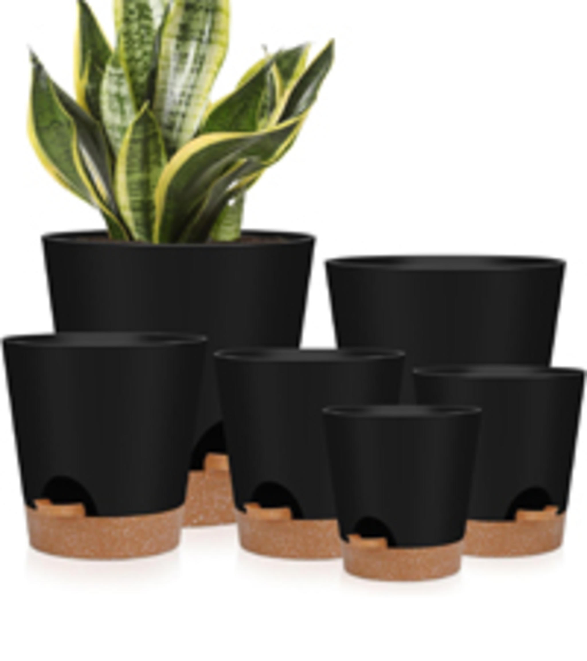 Indoor Self Watering Planters with Drainage Holes and Saucers, Set of 6 (5-8 Inch) image 13