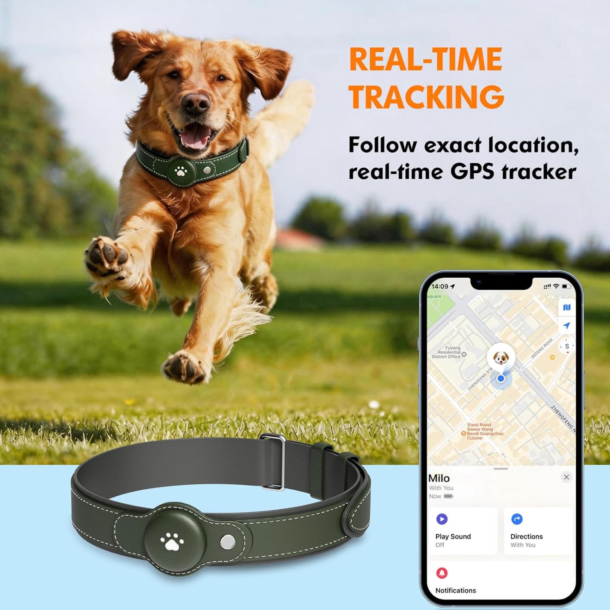 2-in-1 GPS Dog Tracker Collar: Real-Time Tracking, No Monthly Fee, IP67 Waterproof (iOS Only)