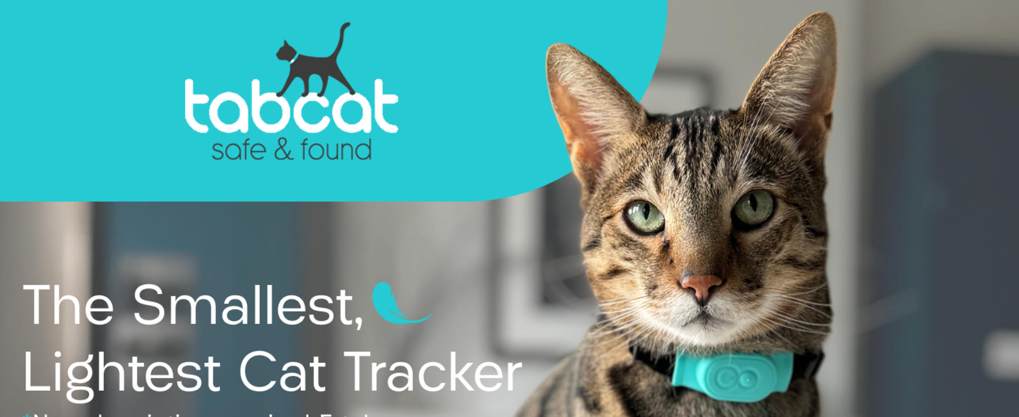 Cat & Kitten Tracker - No Monthly Fee - 2 Lightweight Homing Tags & Handset - 500ft Range image 8