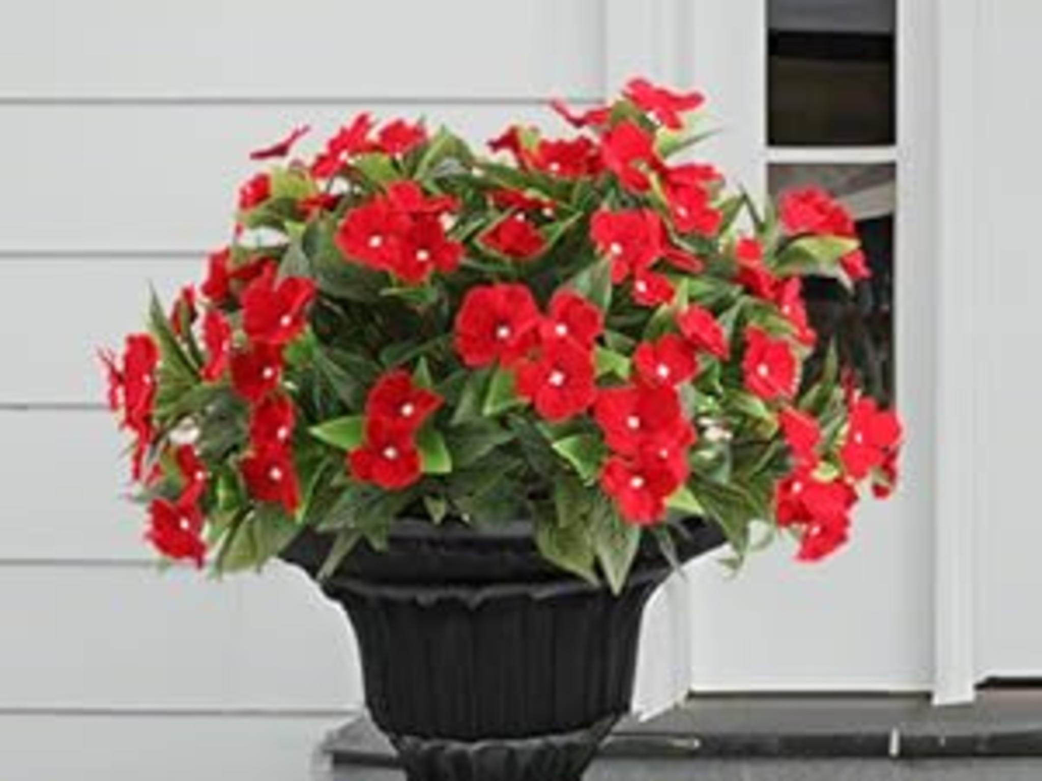 36 Pcs Artificial Pansy Flowers for Outdoor Decor, UV Resistant Faux Silk Flowers for Porch and Window Box image 17