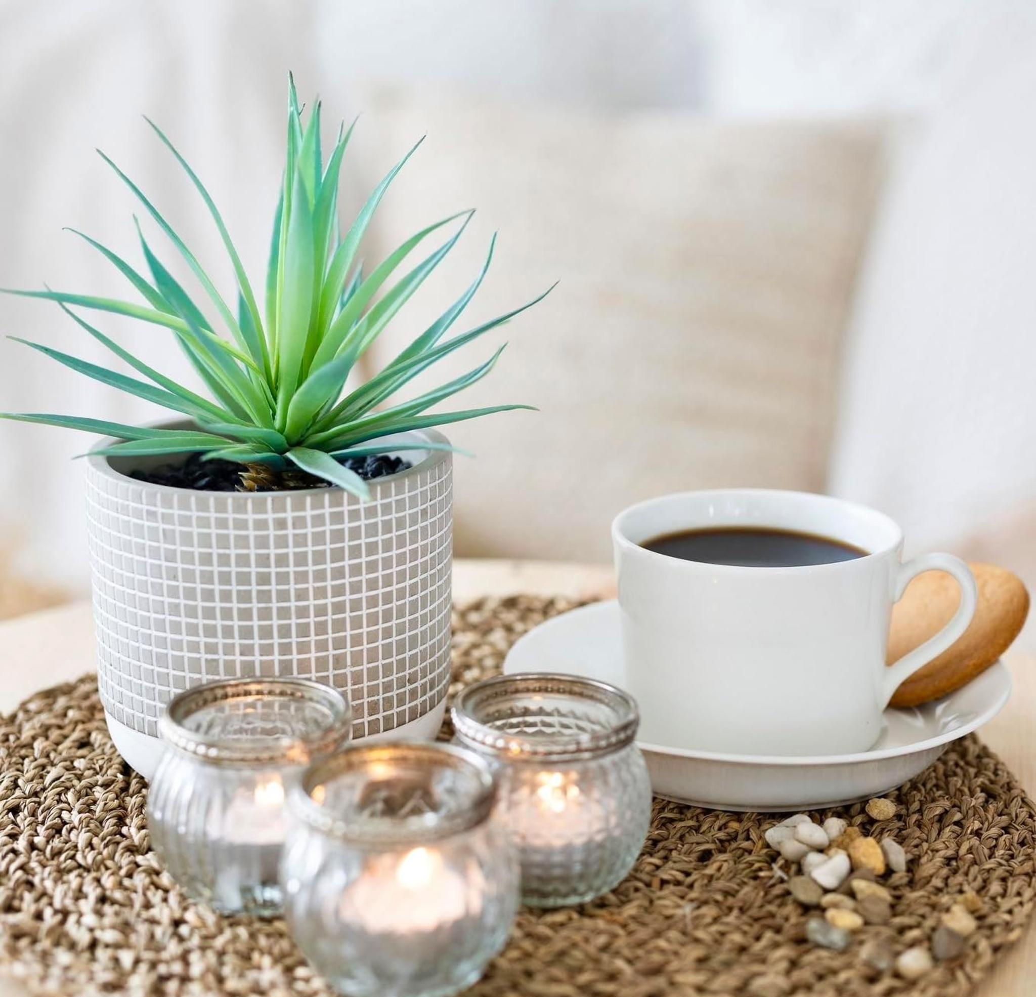 8" Realistic Artificial Succulent in Rustic Pot - Life-like Faux Greenery for Home and Office Decor