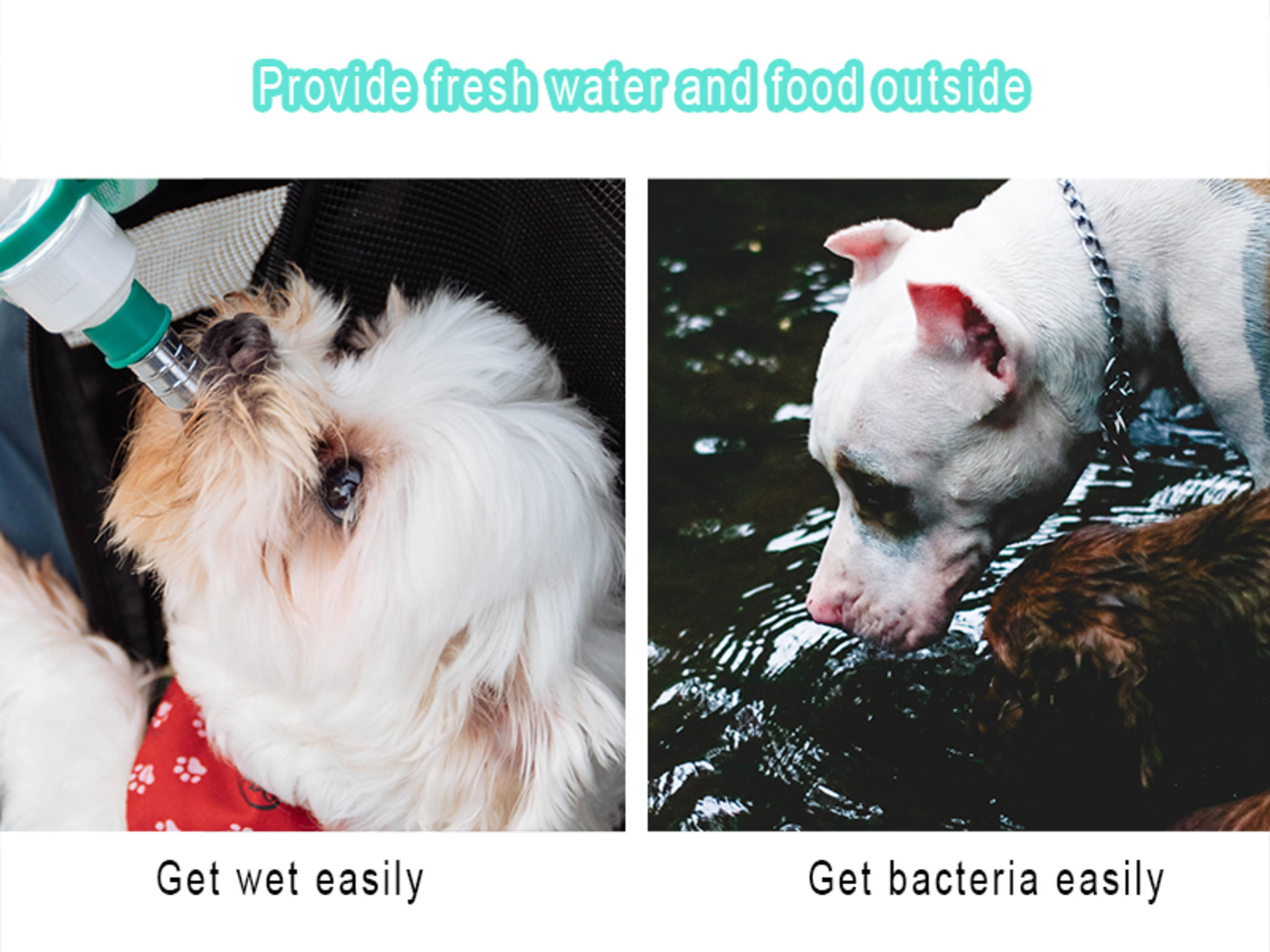 2-in-1 Portable Dog Water Bottle with Food Container and Carbon Filter image 8